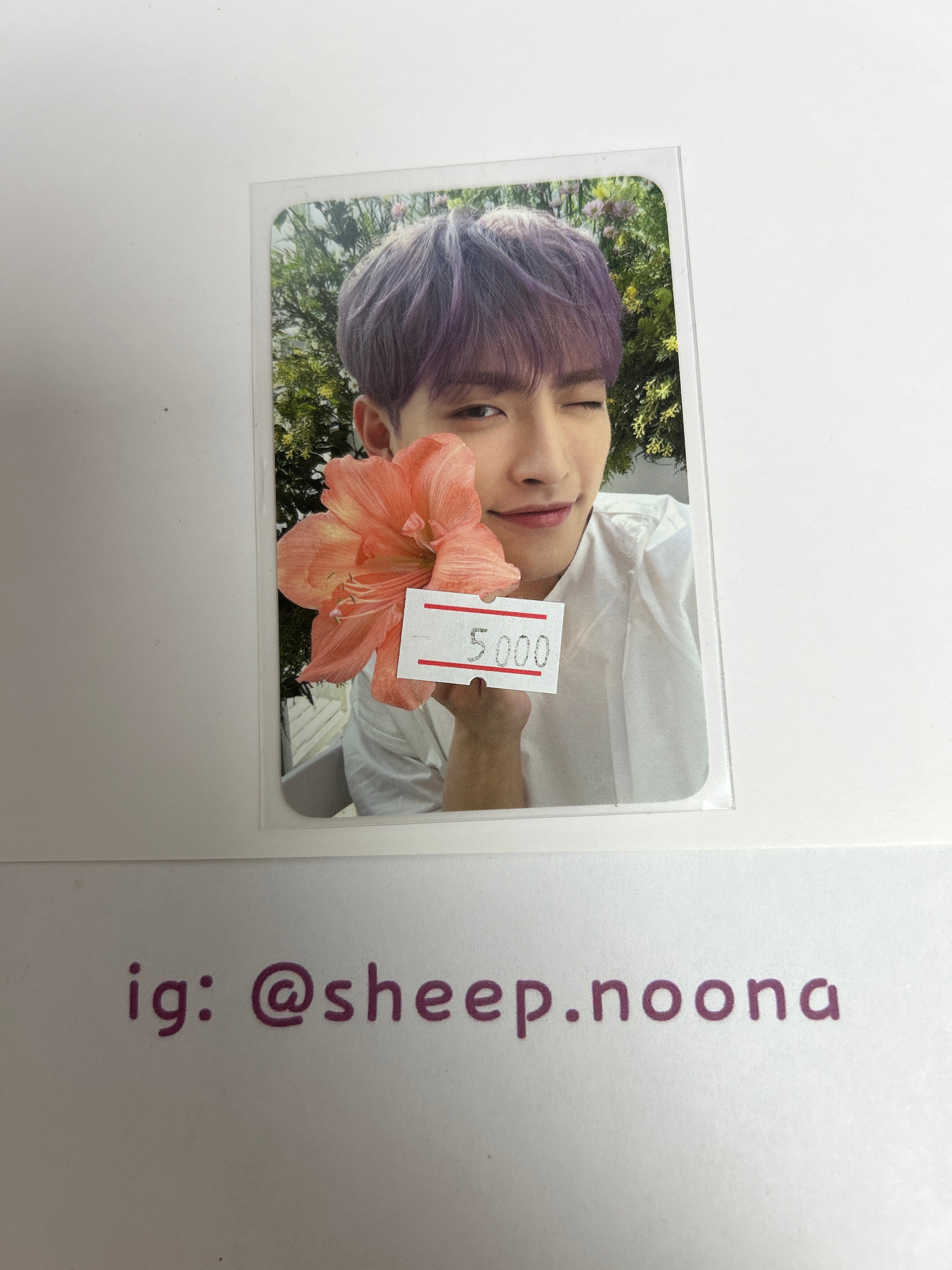 Photocards Honjoong Ateez