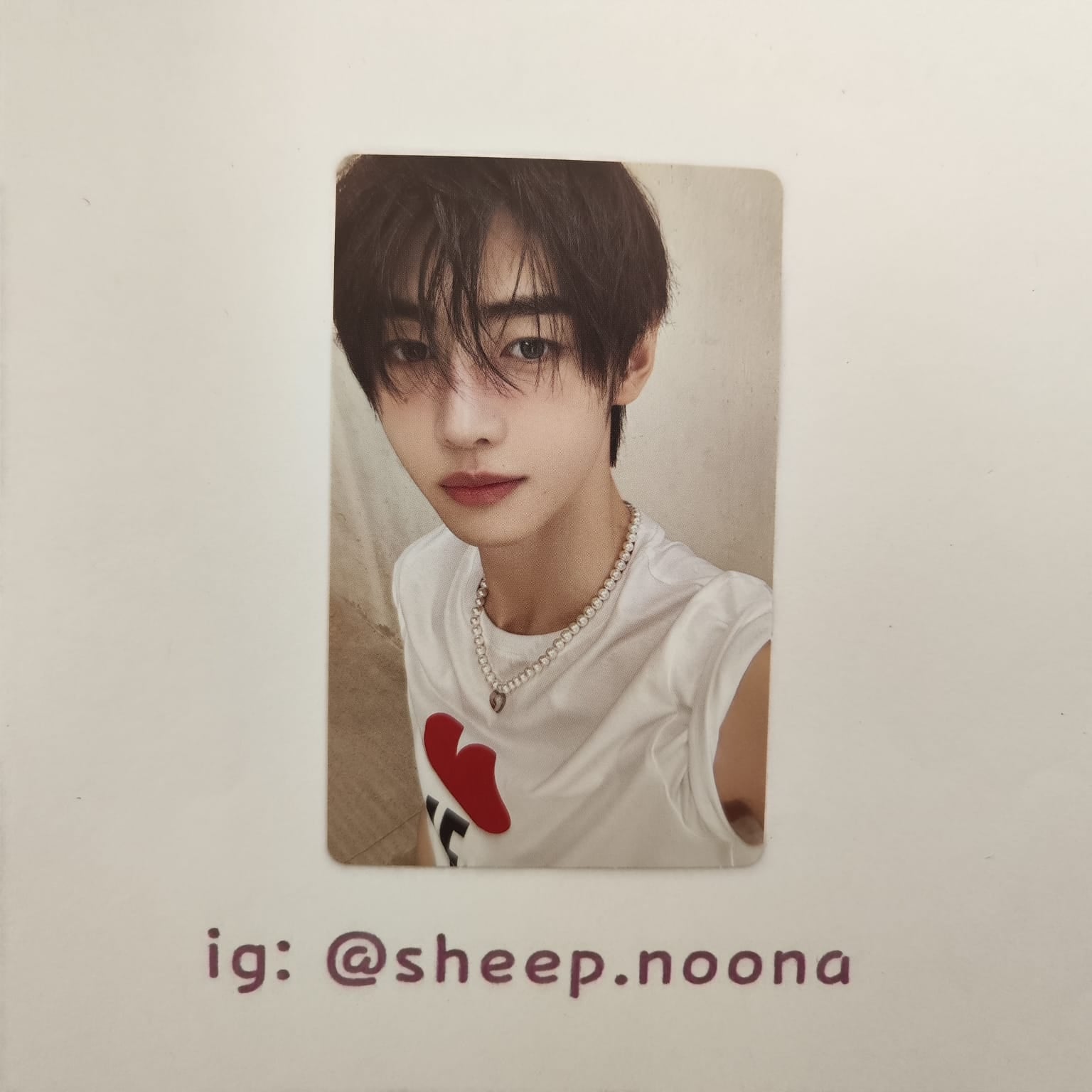 Photocards Sunghoon Enhypen