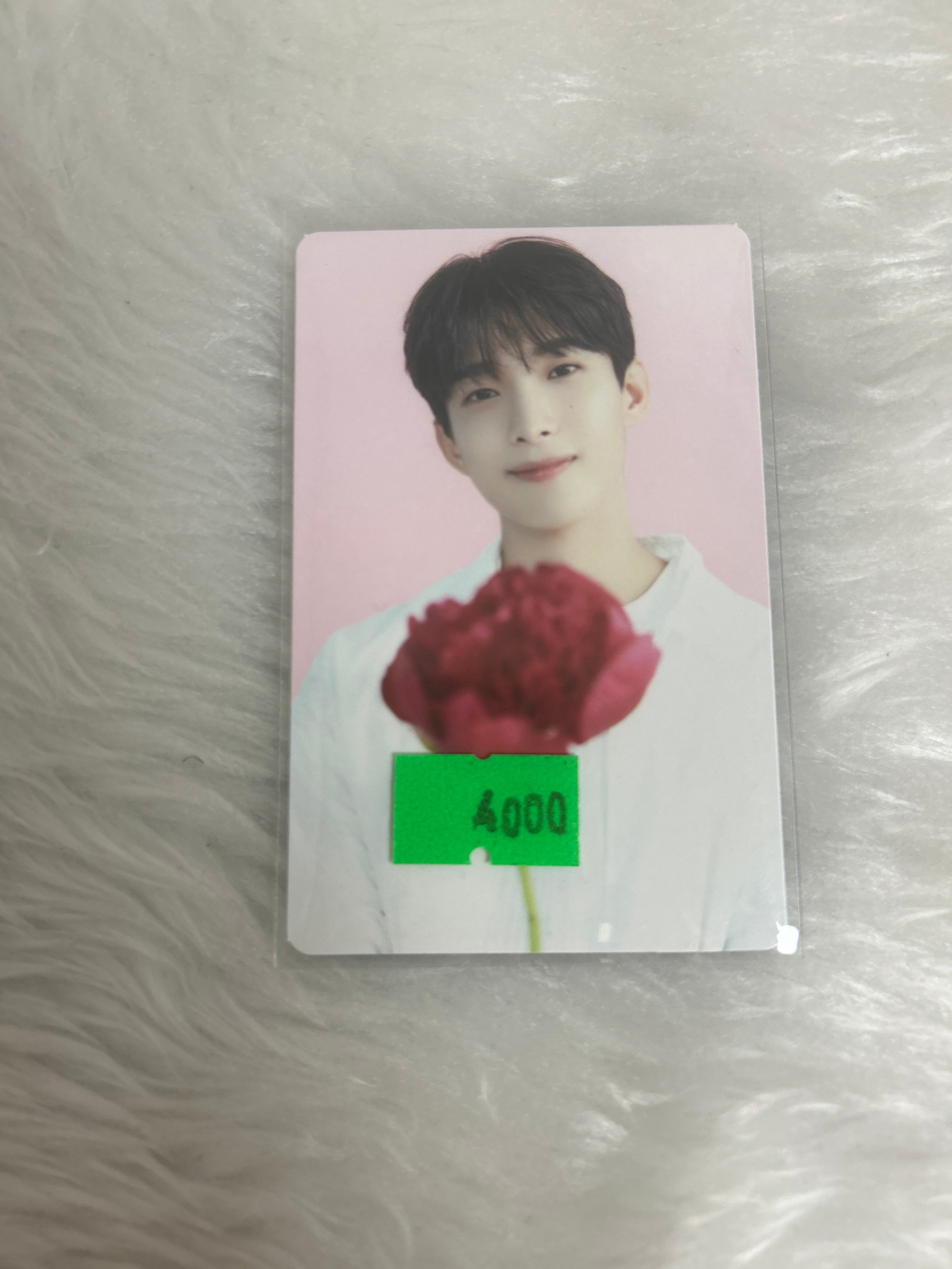 Photocards DK Seventeen