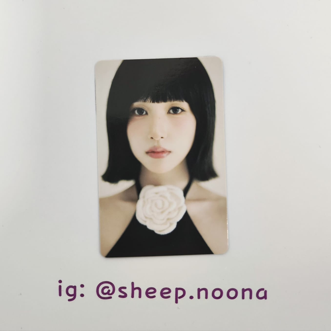 Photocards Mina Twice