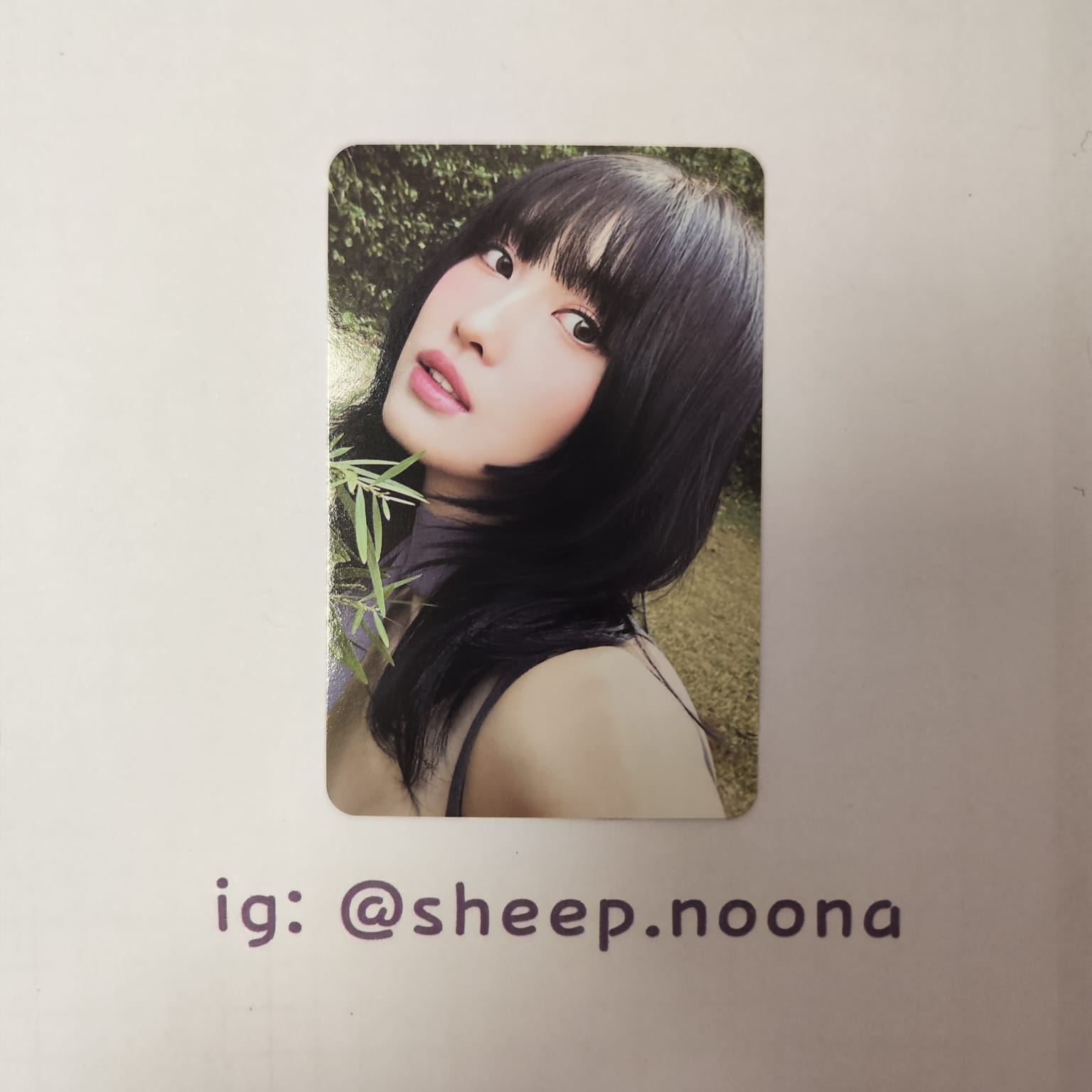 Photocards Momo Twice