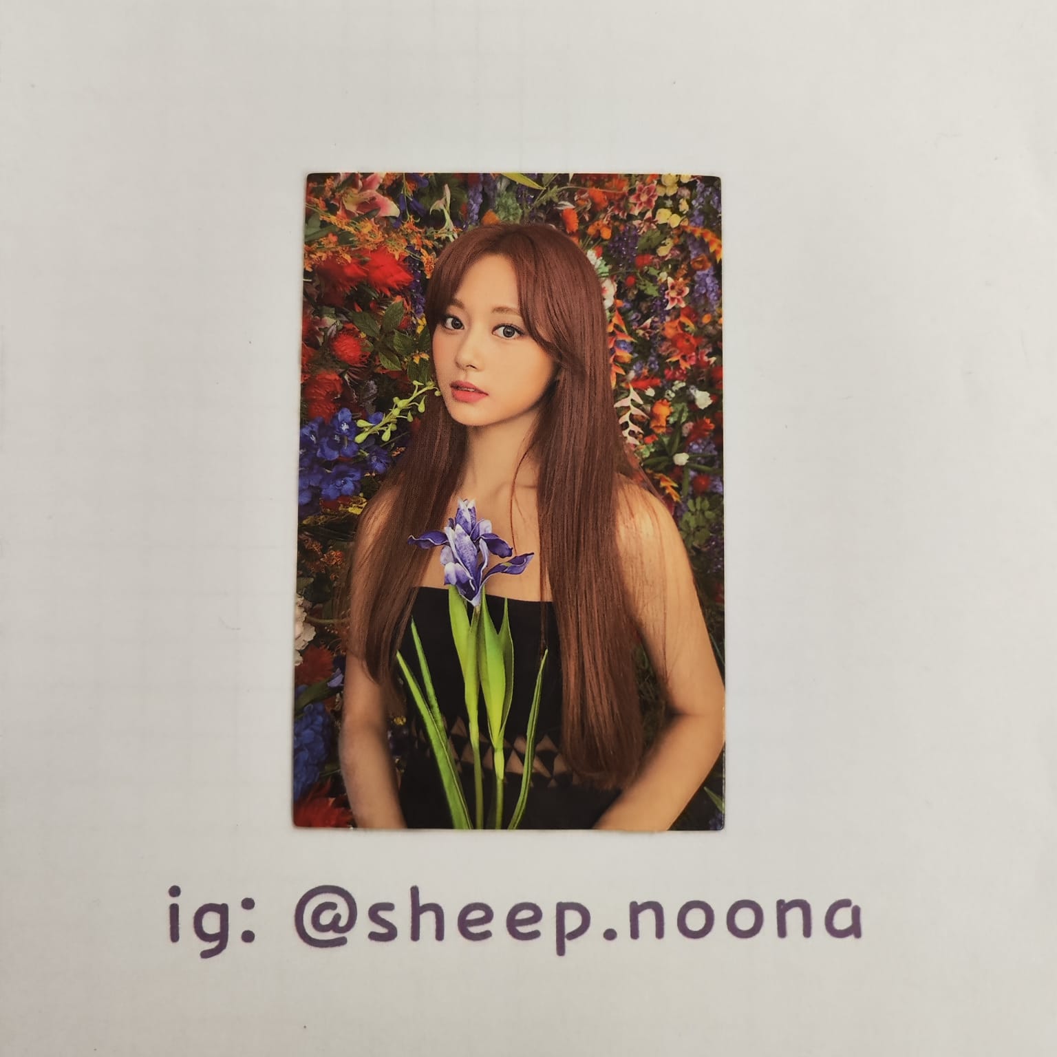 Photocards Tzuyu Twice