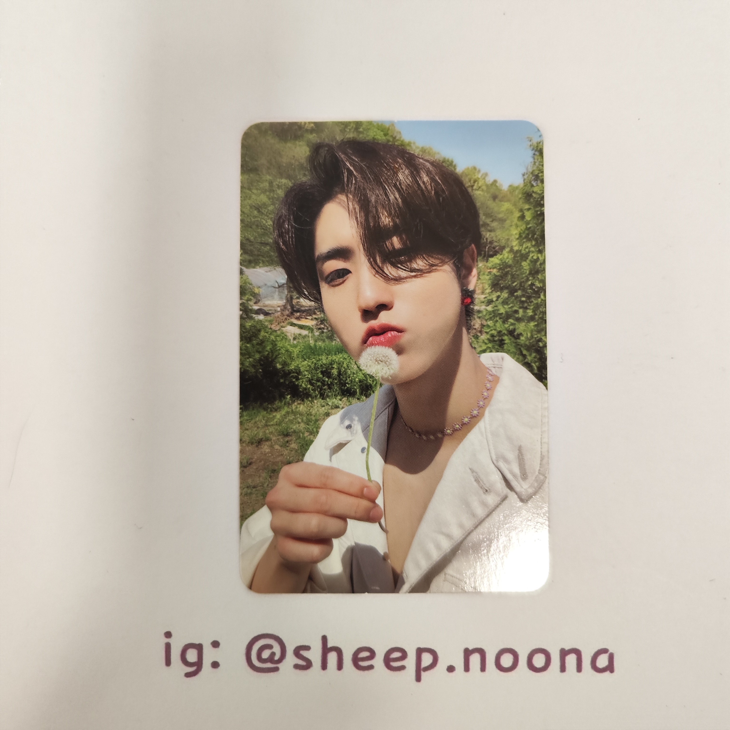 Photocards Han SKZ