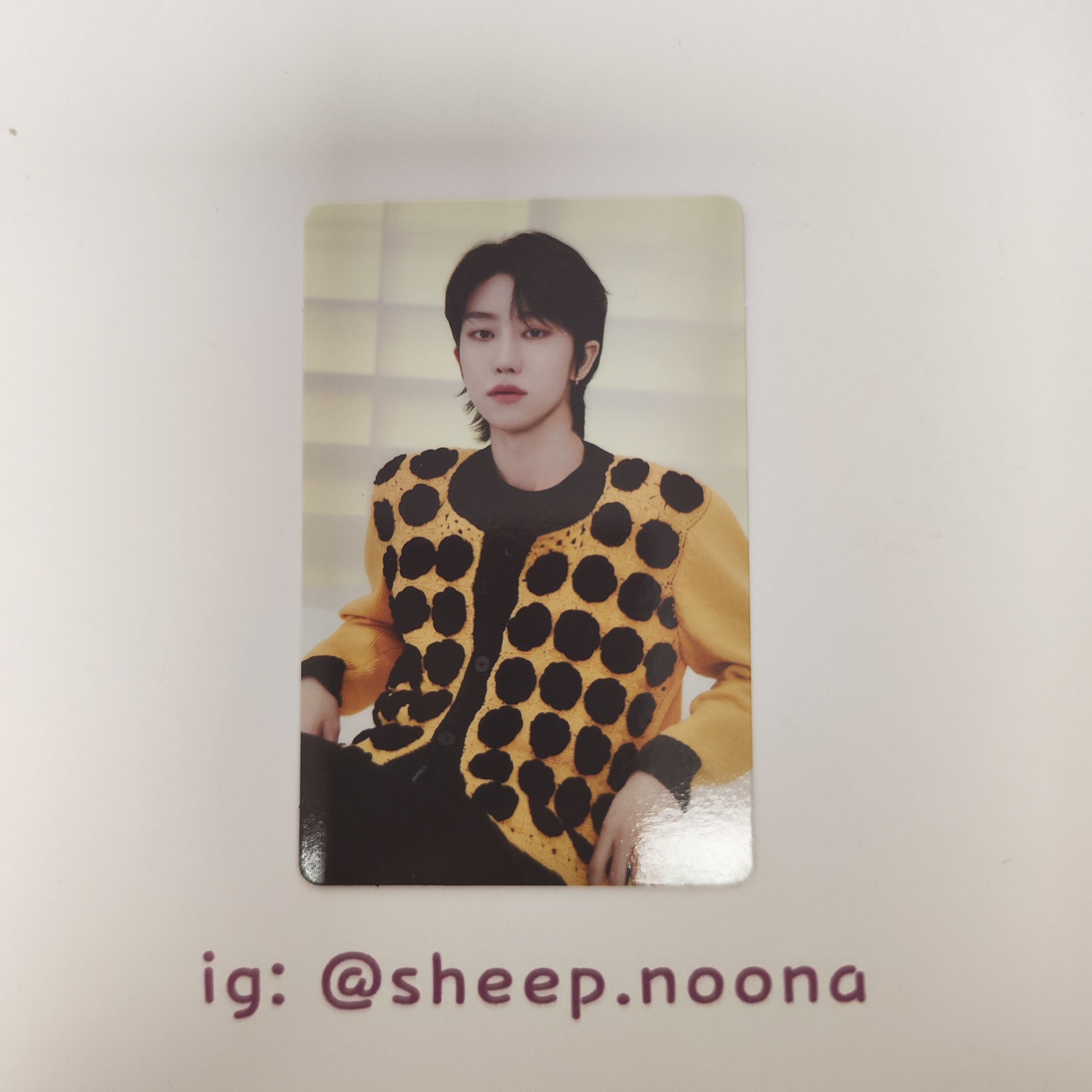 Photocards The8 Seventeen