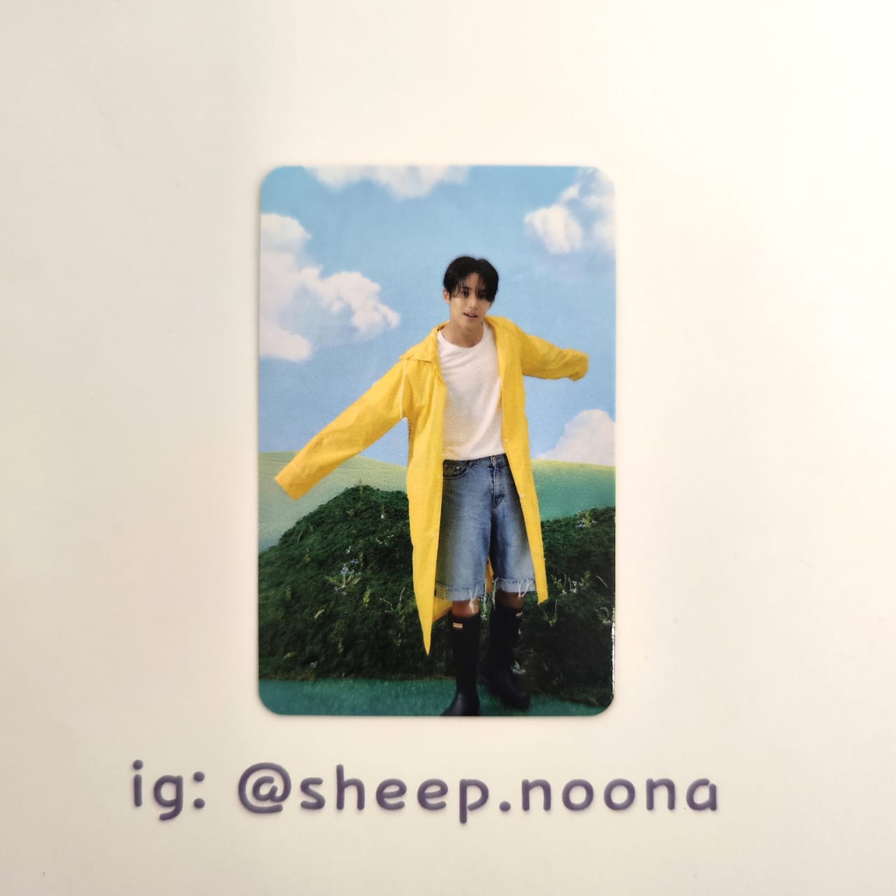 Photocards Mingyu Seventeen