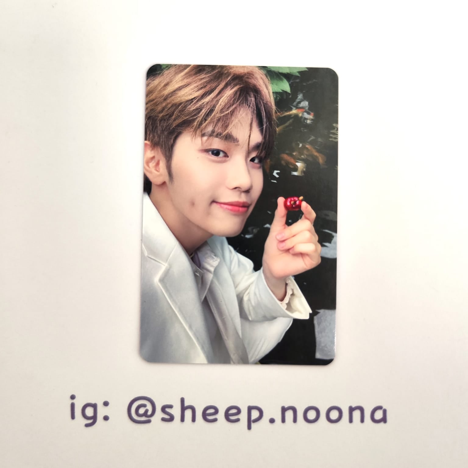Photocards Taerae ZB1