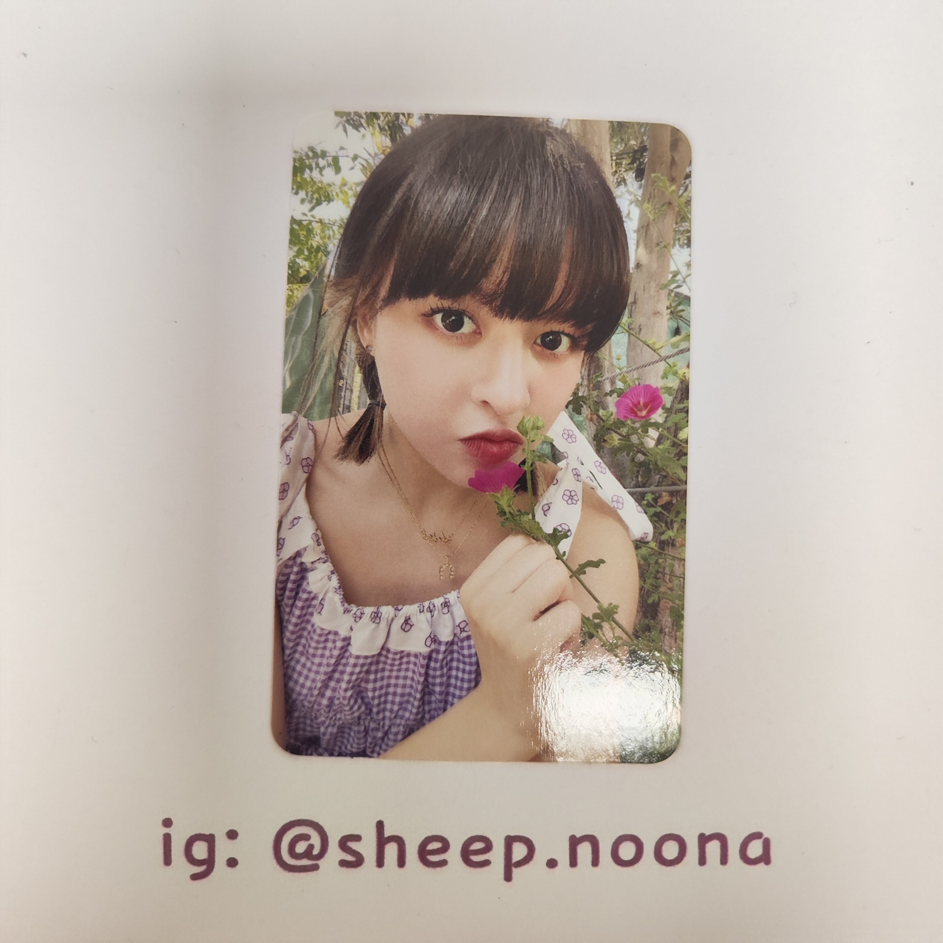 Photocards Lily NMIXX