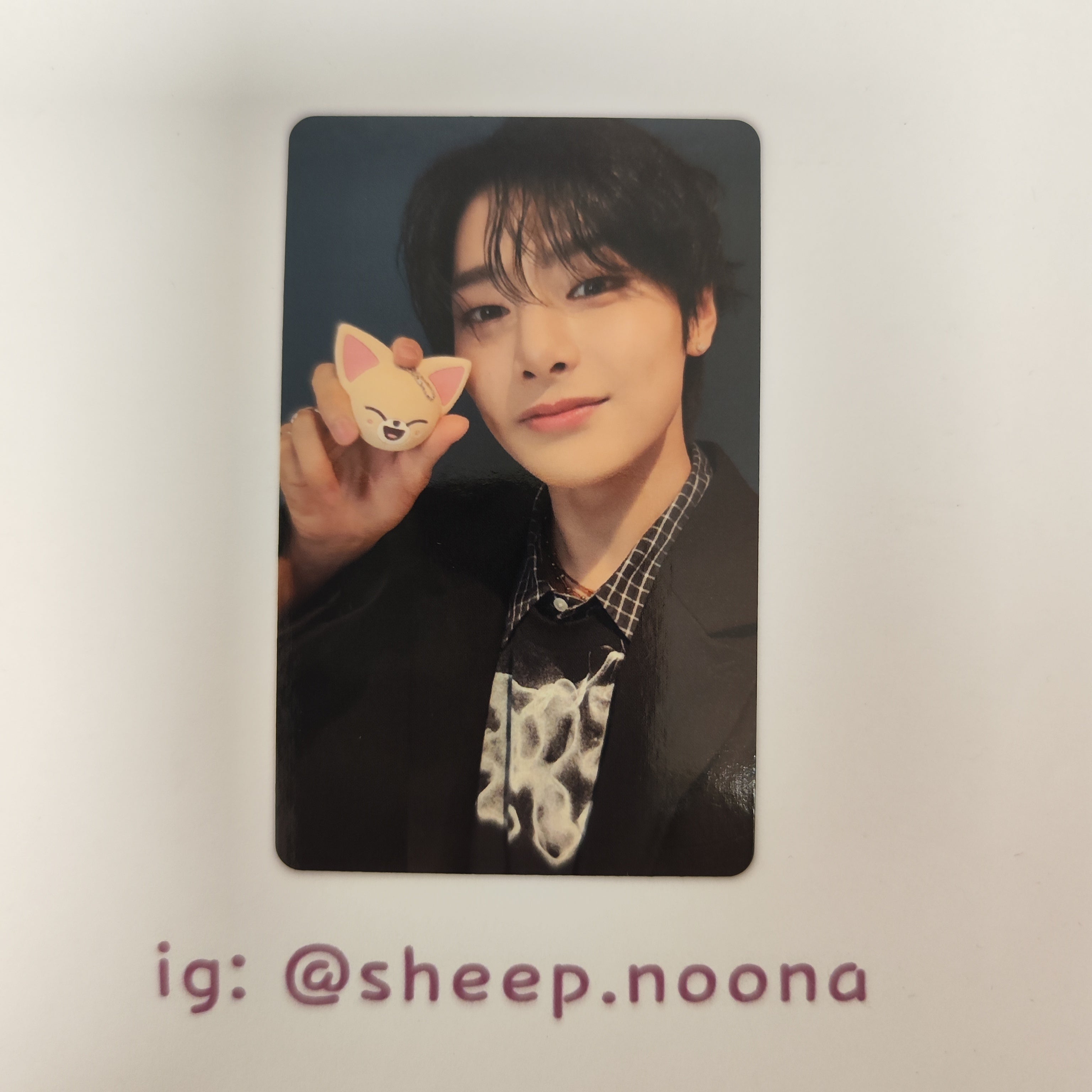 Photocards I.N. SKZ
