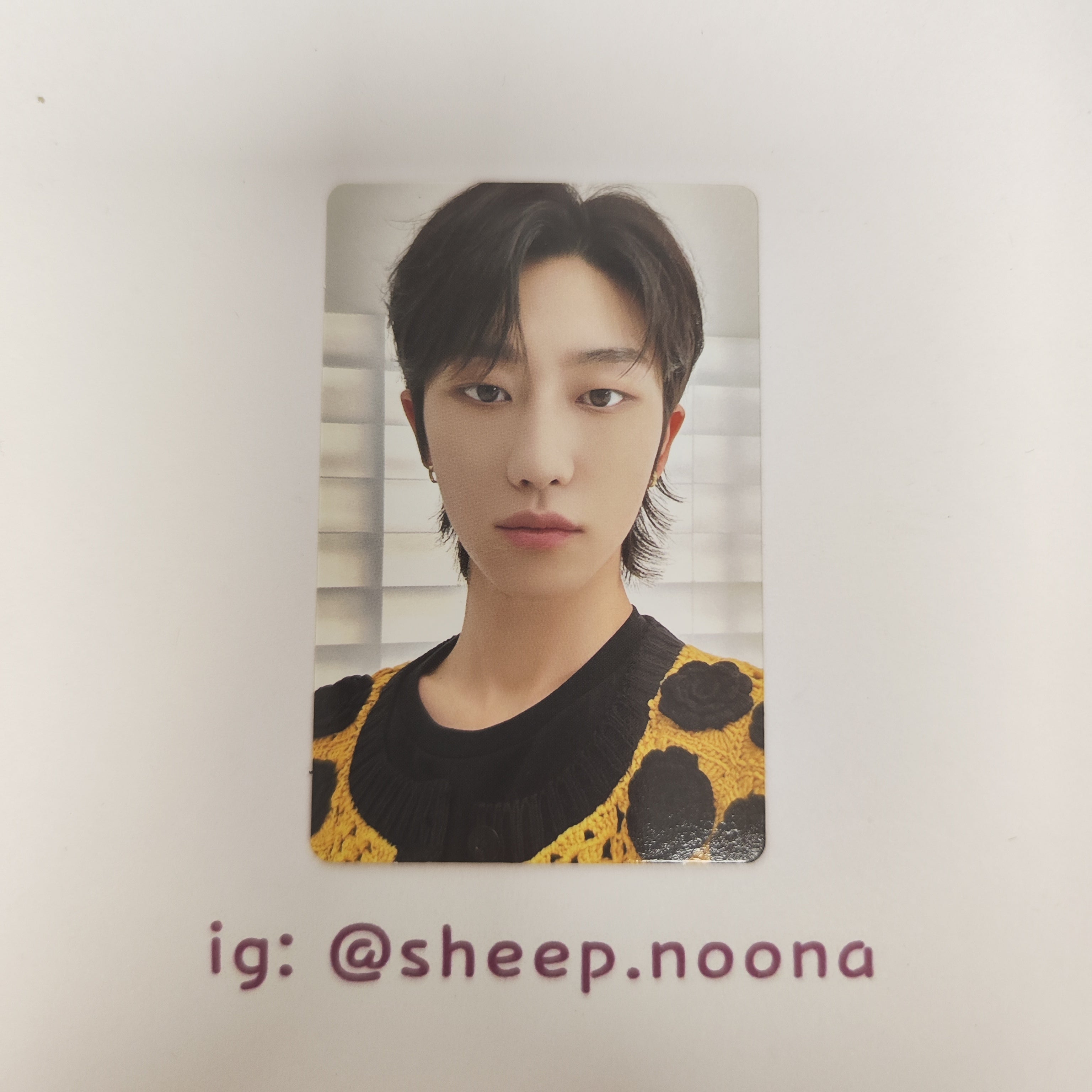 Photocards The8 Seventeen