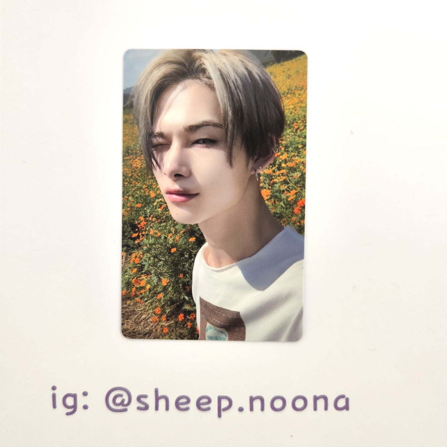 Photocards Niki Enhypen