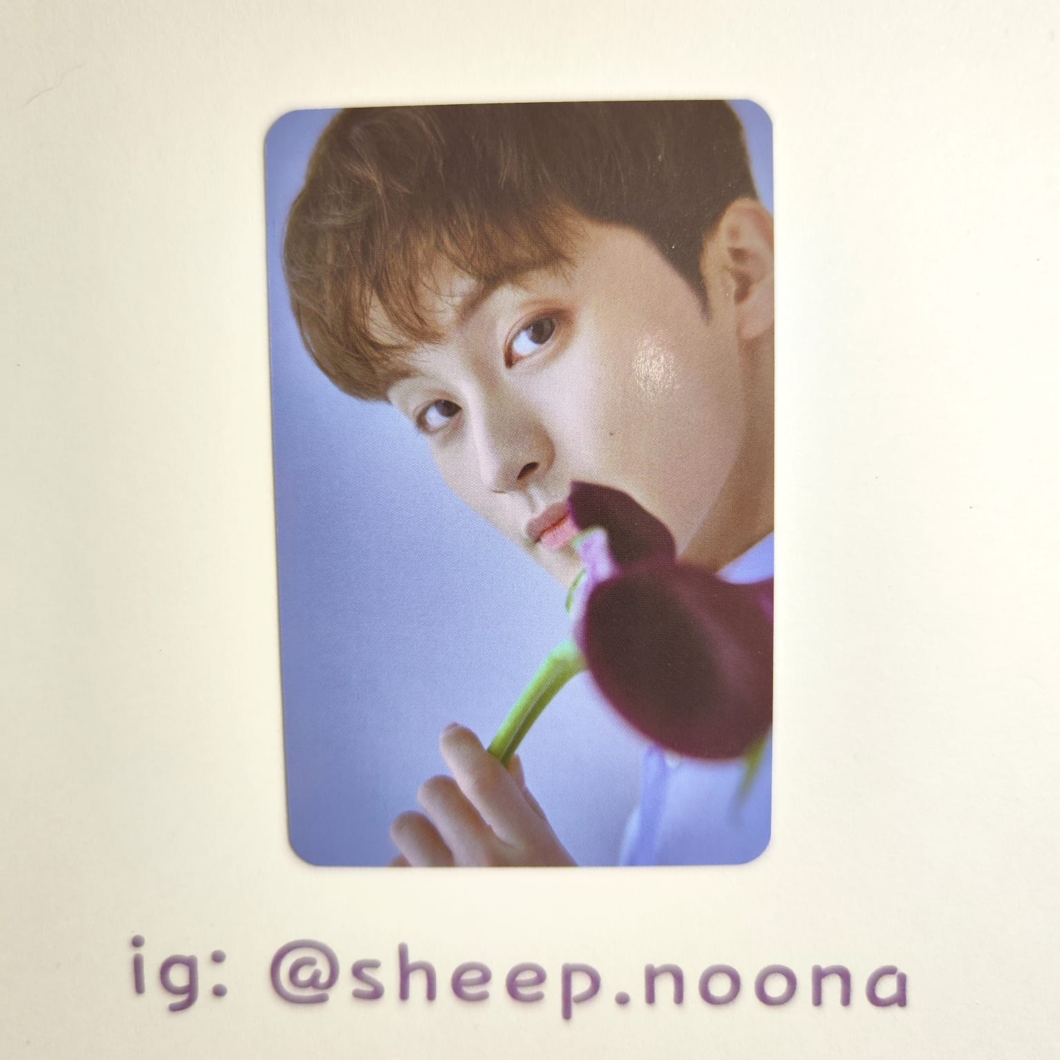 Photocards Mark NCT 127 / NCT Dream