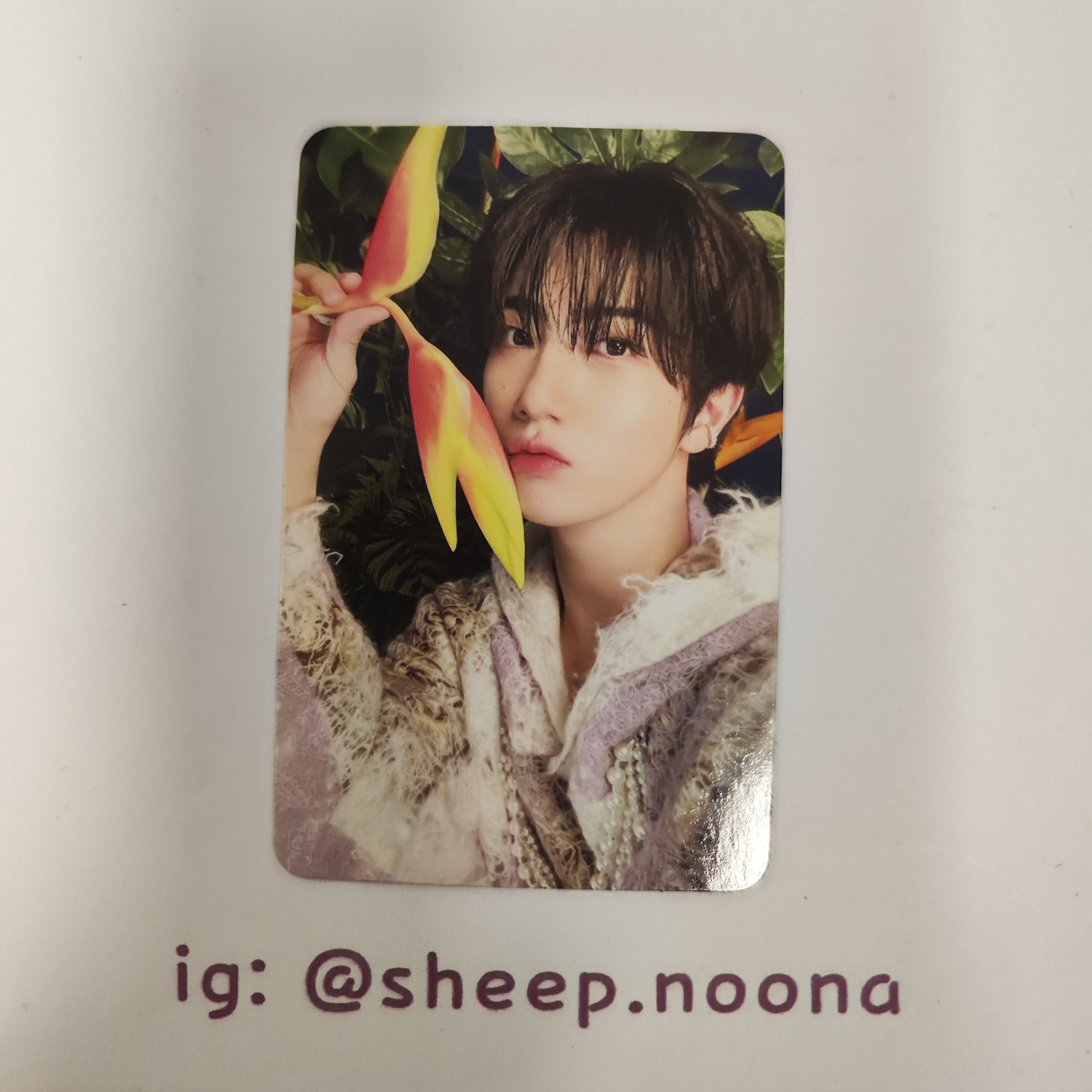 Photocards Cravity