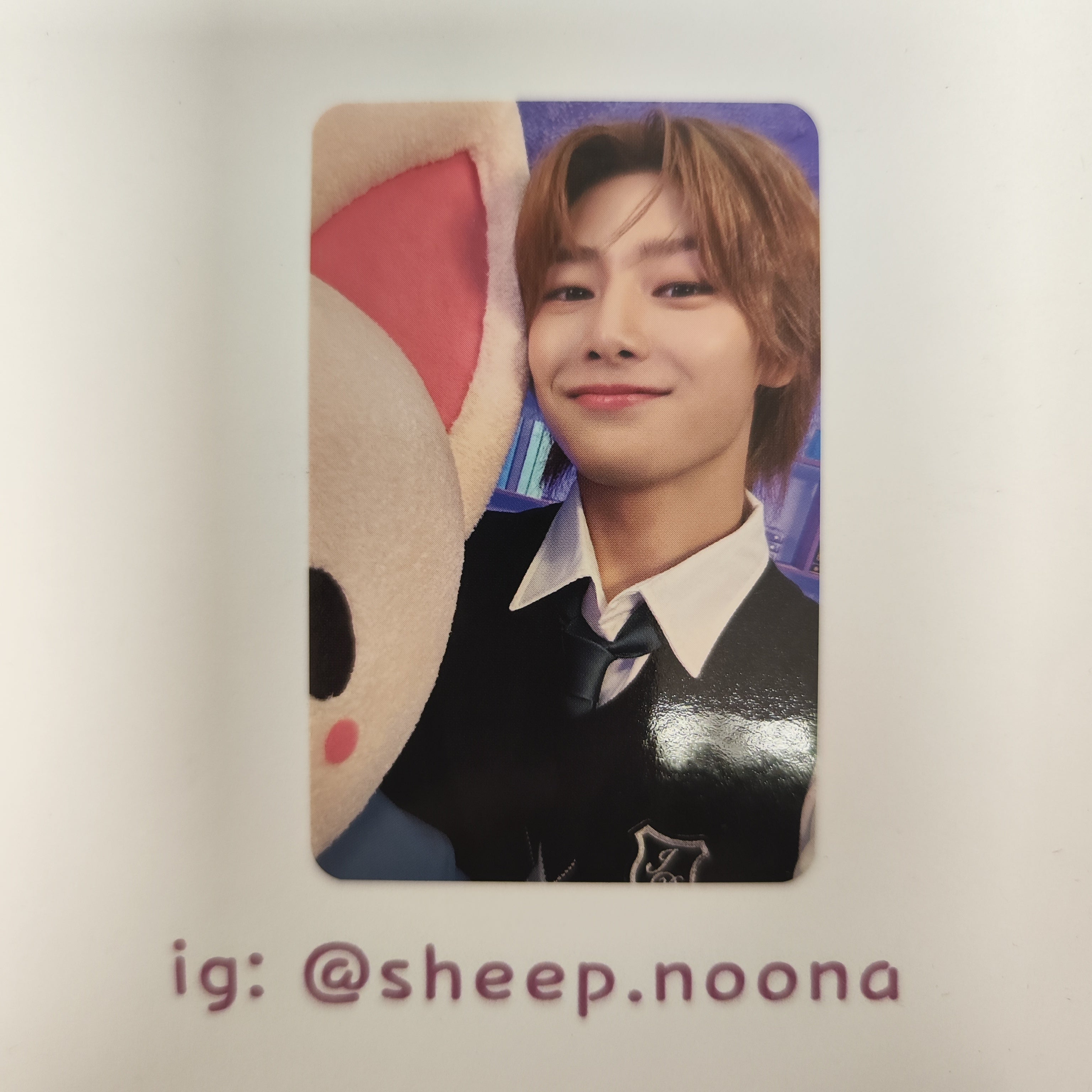 Photocards I.N. SKZ
