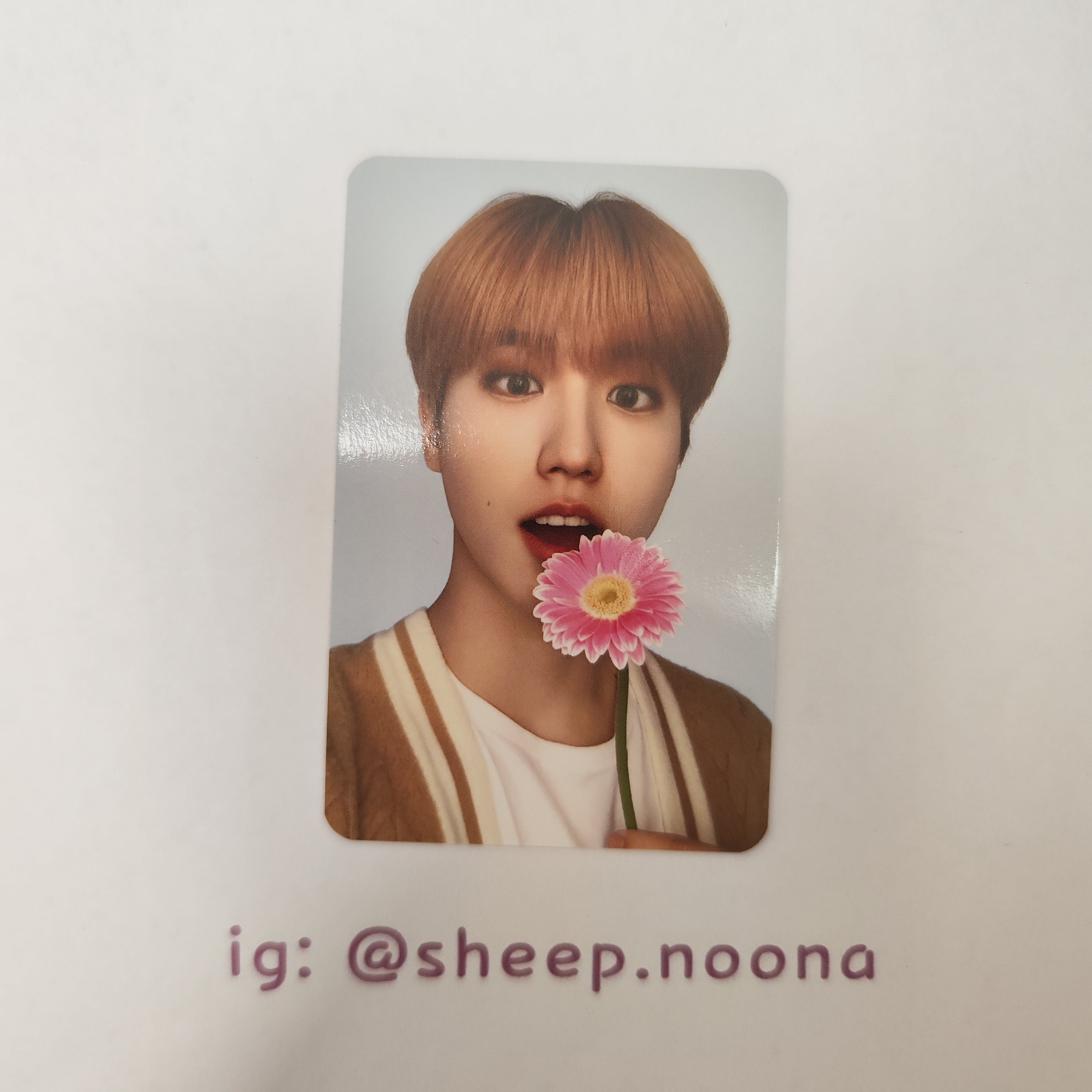 Photocards Han SKZ