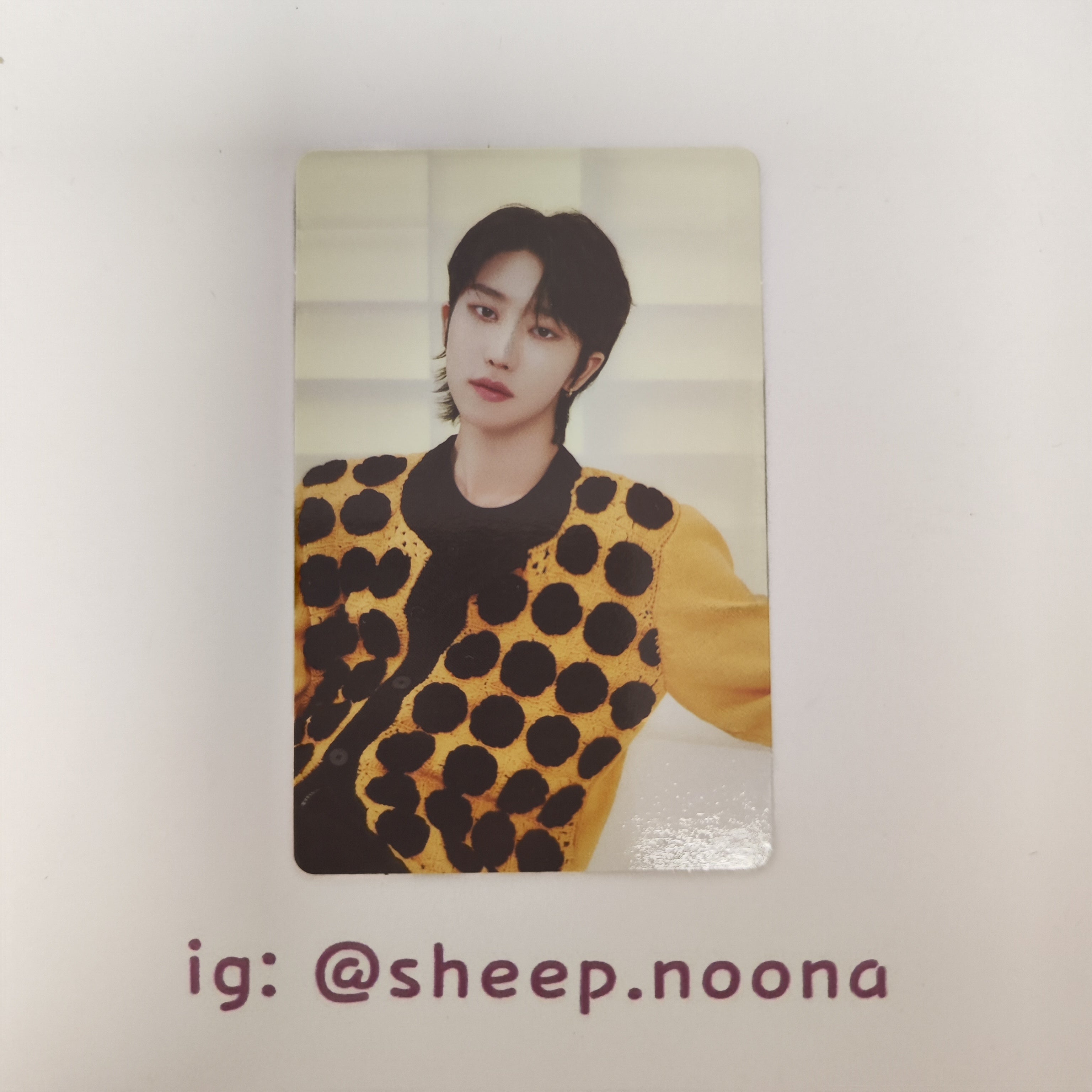 Photocards The8 Seventeen
