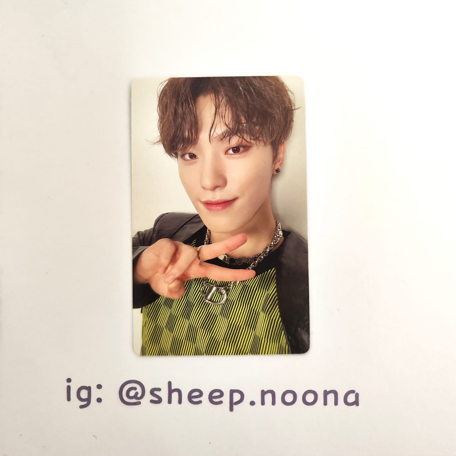 Photocards Dino Seventeen