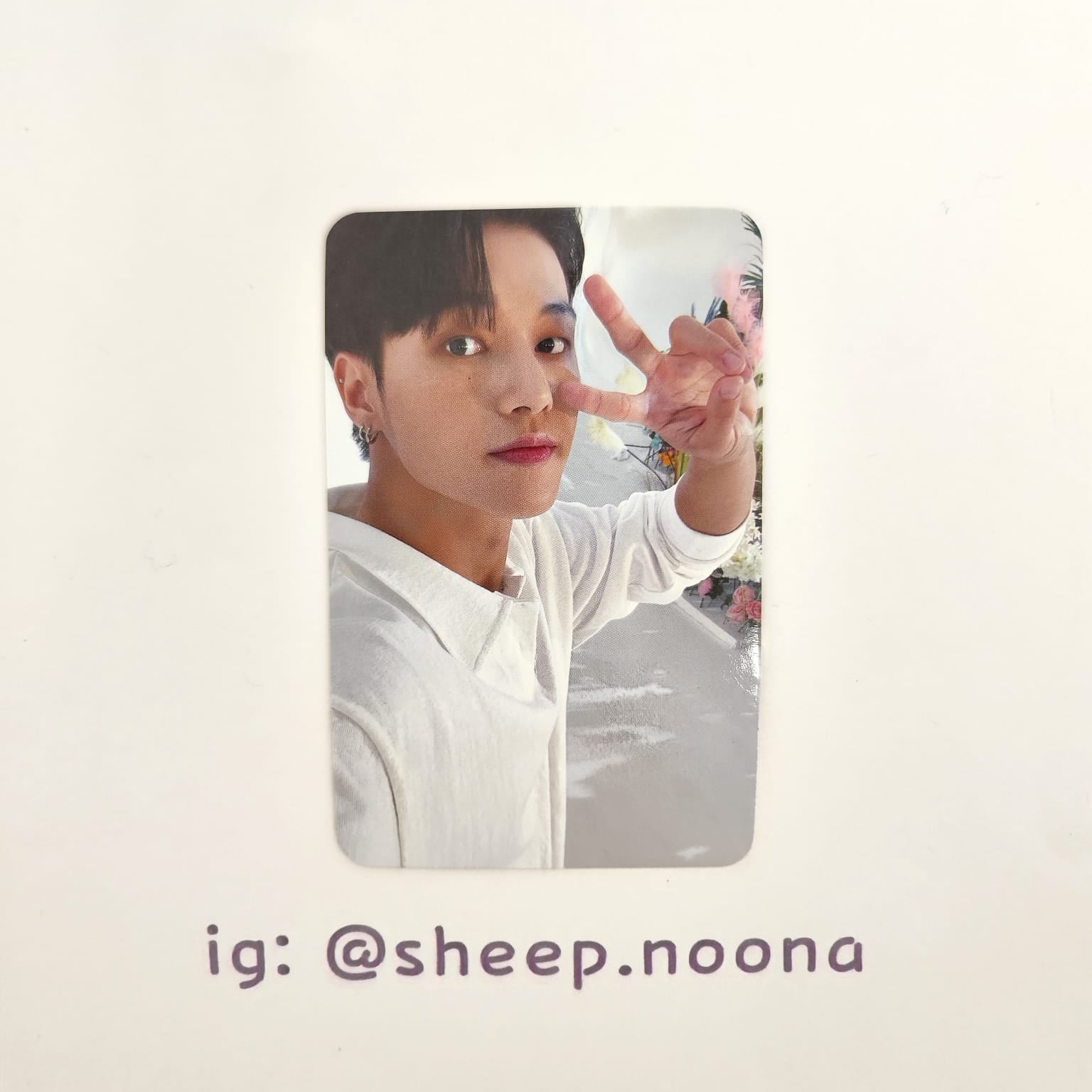 Photocards Wooyoung Ateez