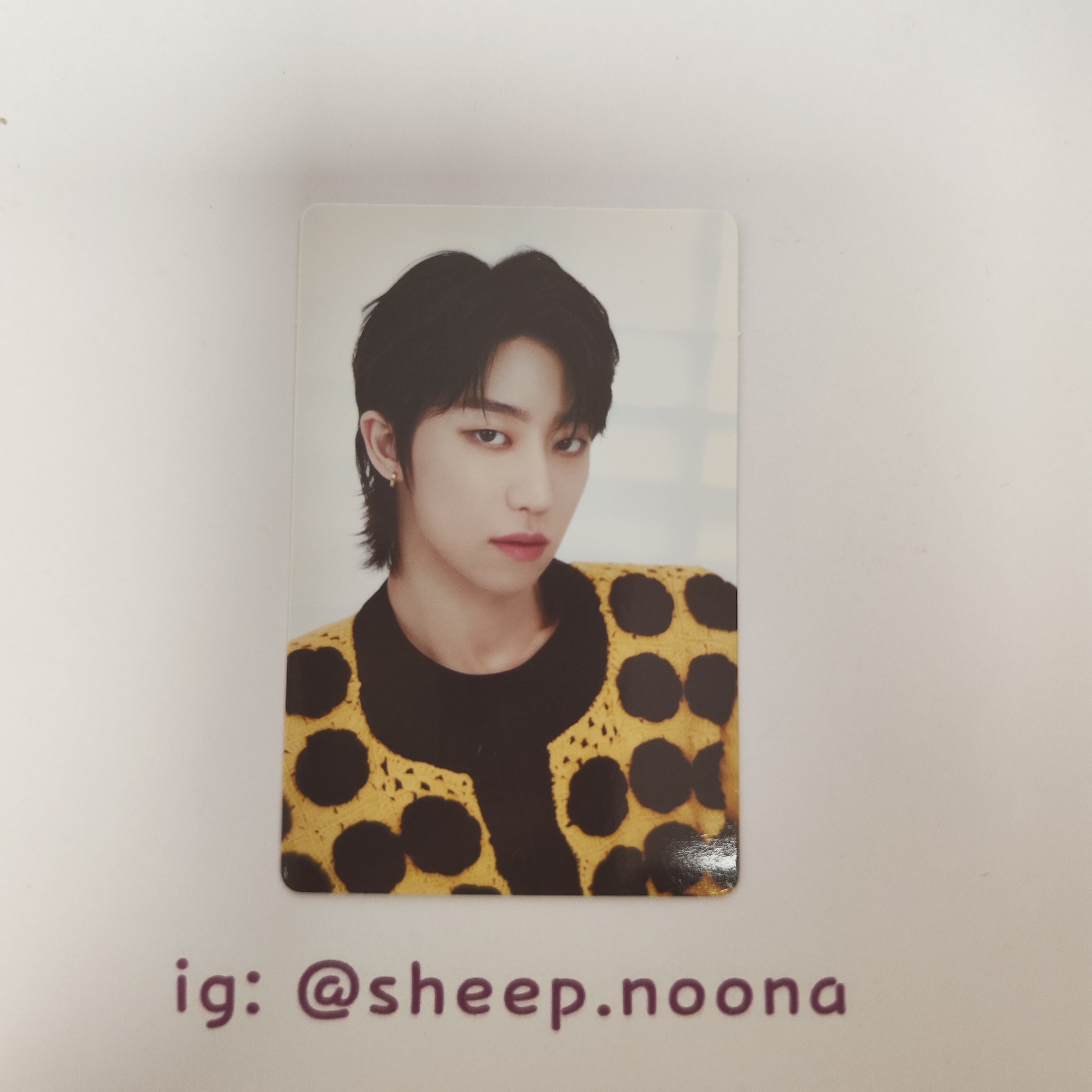 Photocards The8 Seventeen
