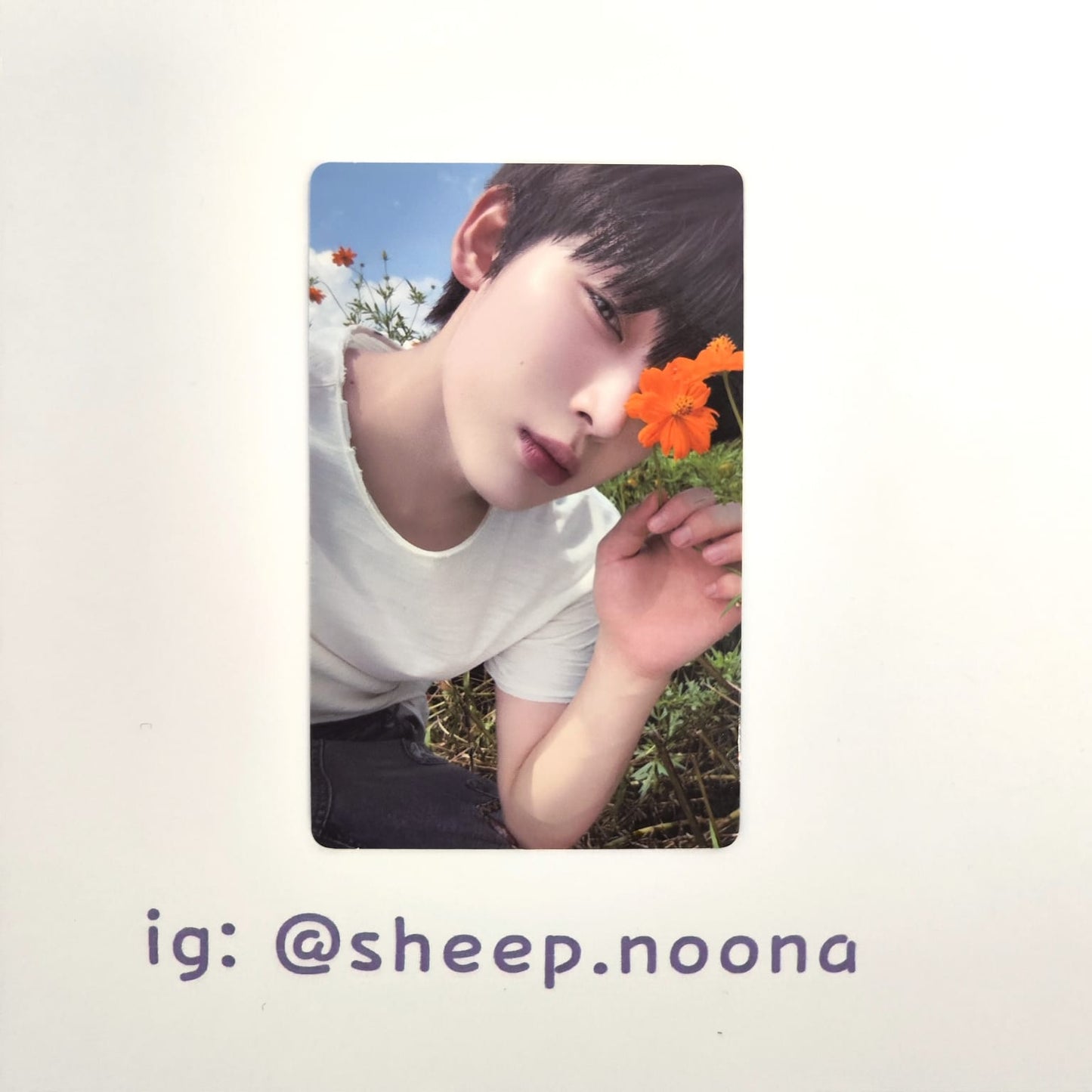 Photocards Sunoo Enhypen