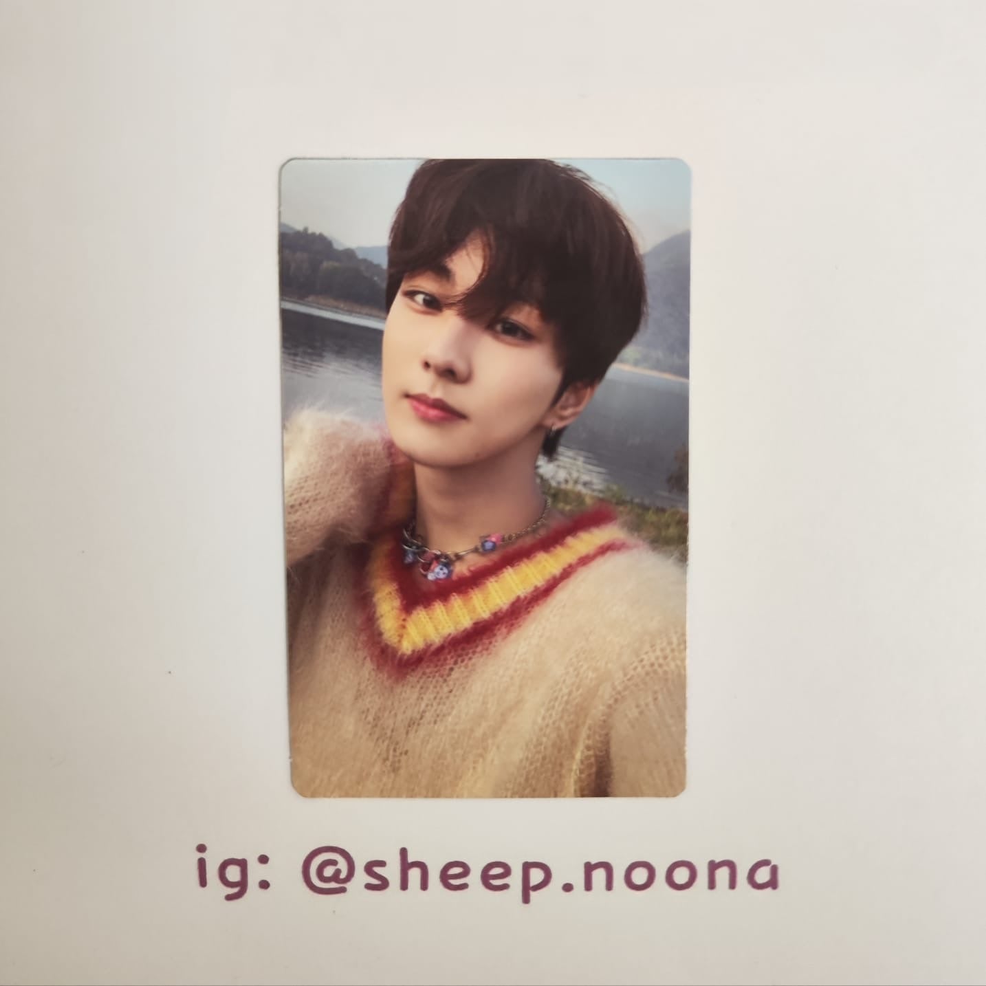 Photocards Jungwon Enhypen