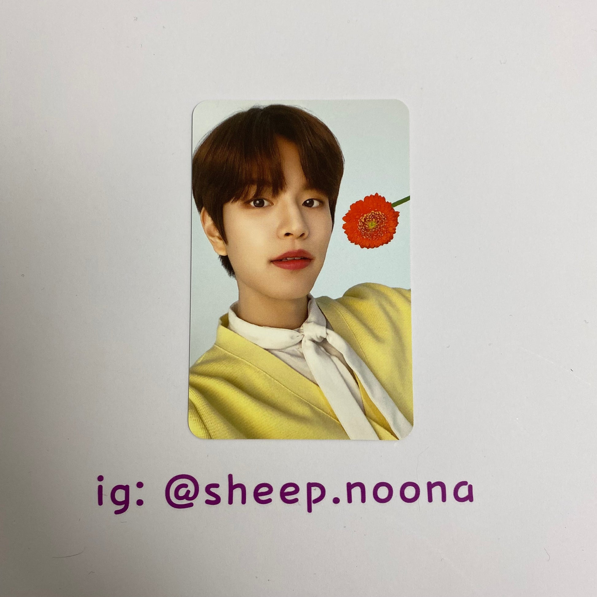 Photocards Seungmin SKZ