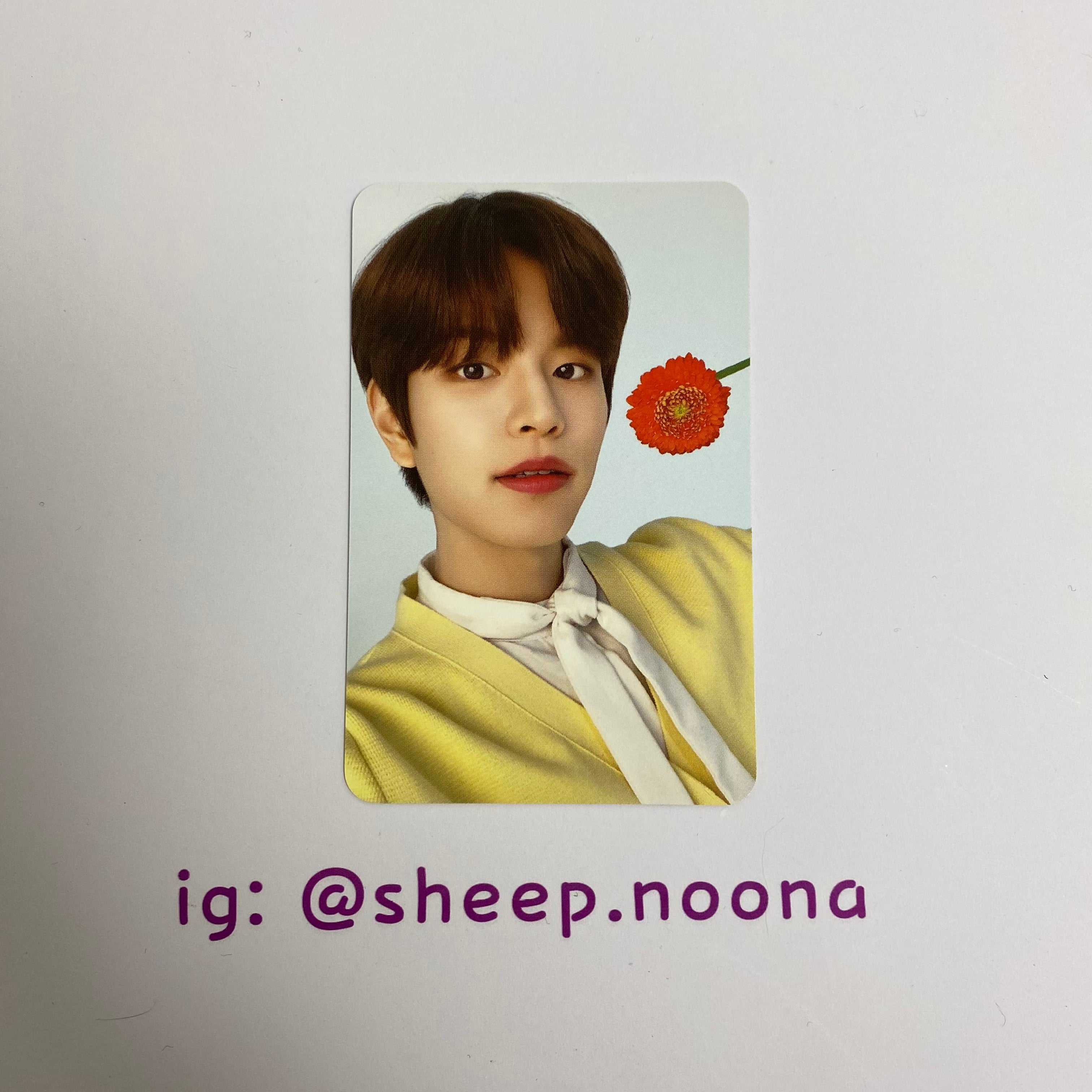 Photocards Seungmin SKZ