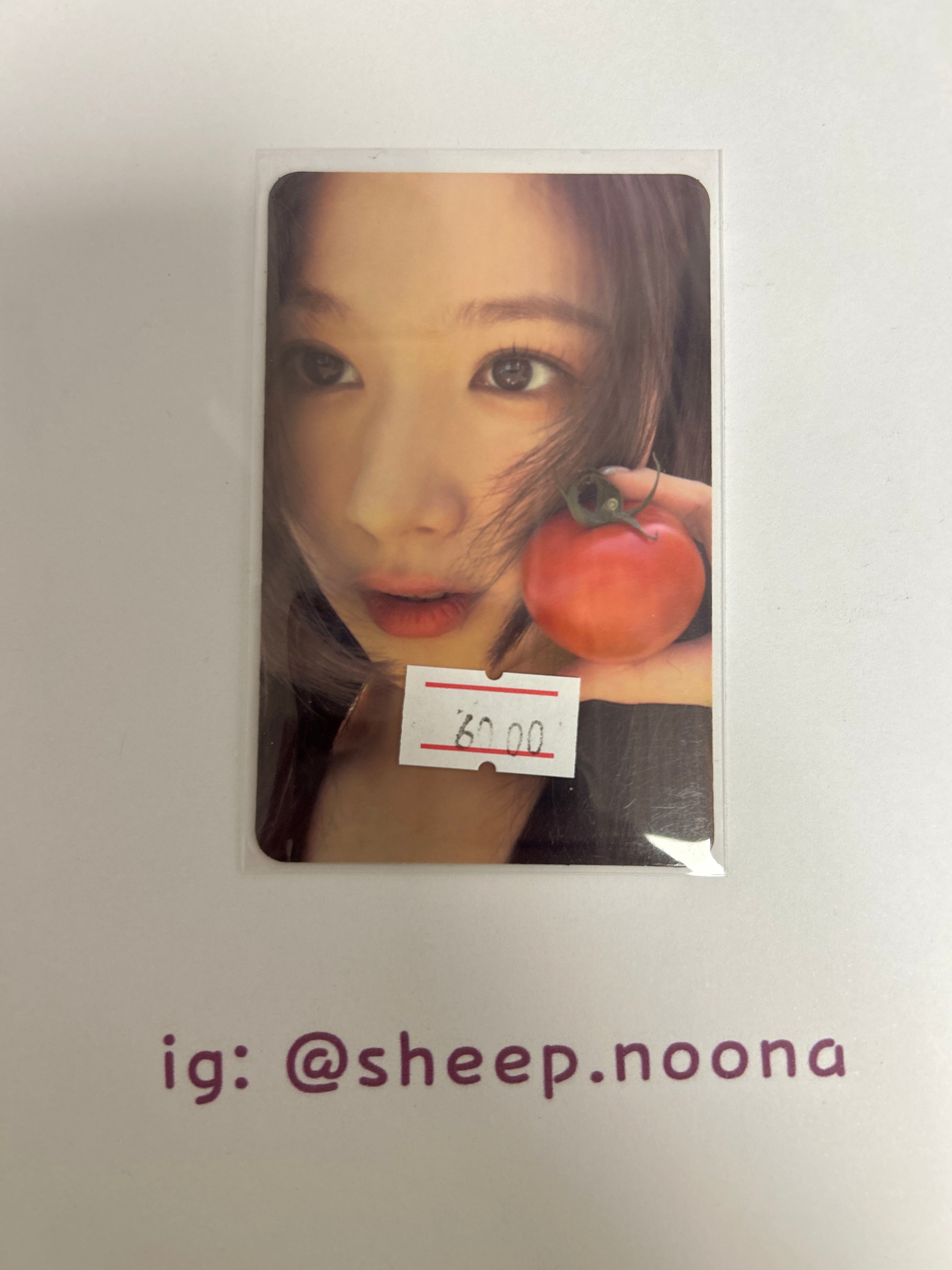 Photocard Sana Twice