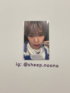 Photocards NCT WISH