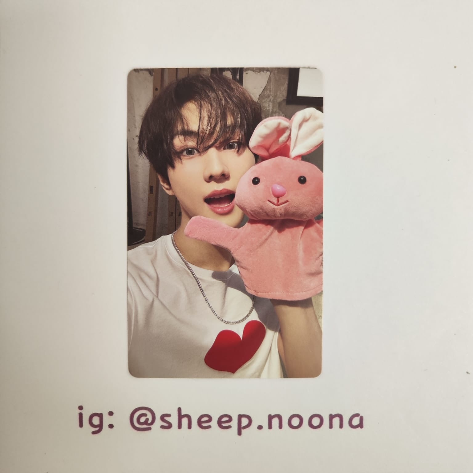 Photocards Jungwon Enhypen