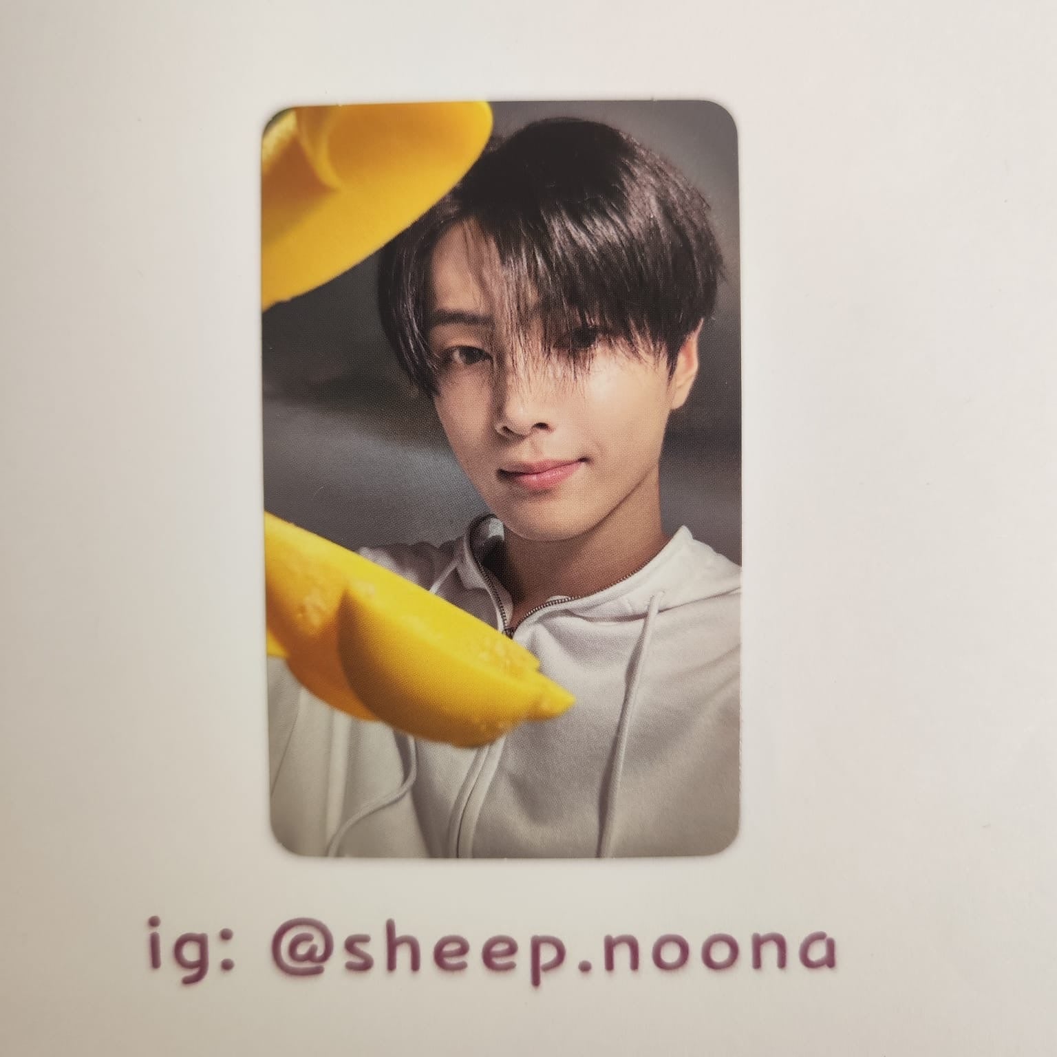 Photocards Jay Enhypen