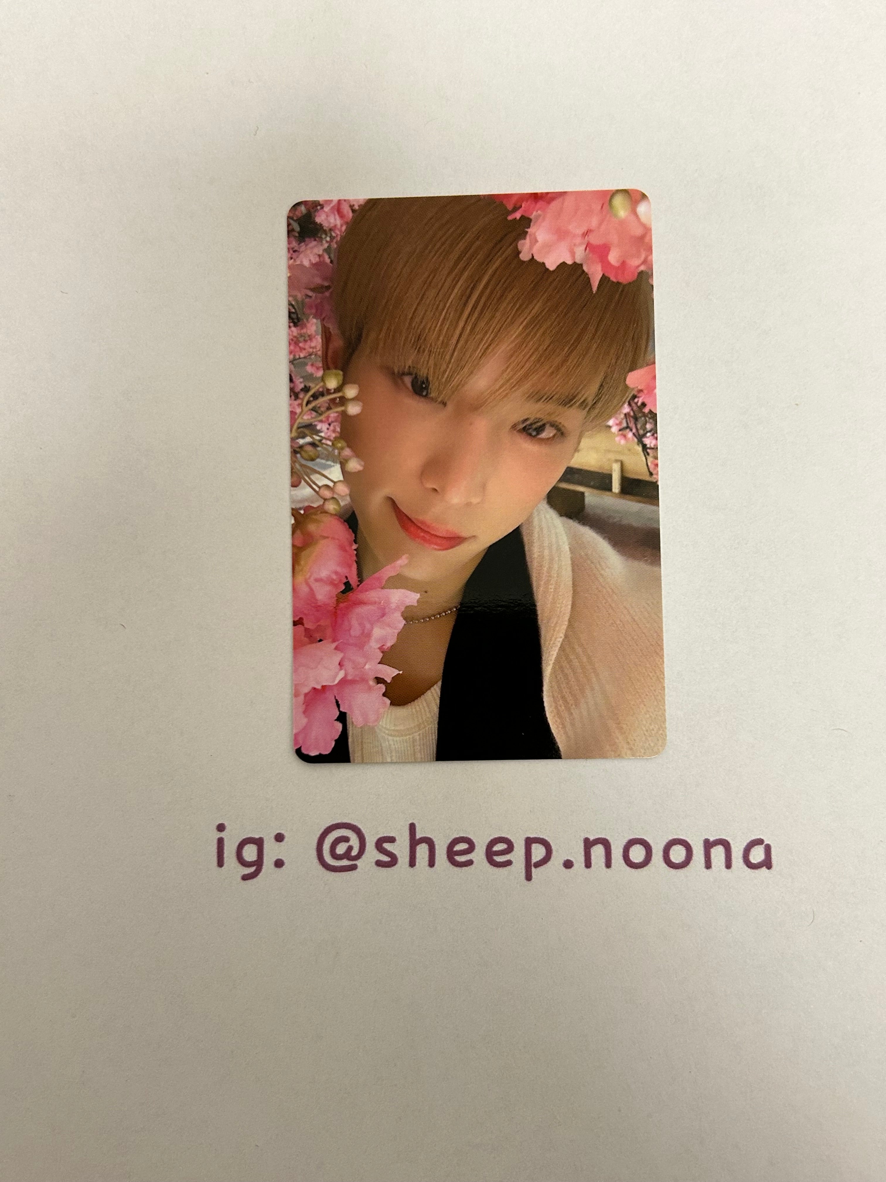 Photocards &team