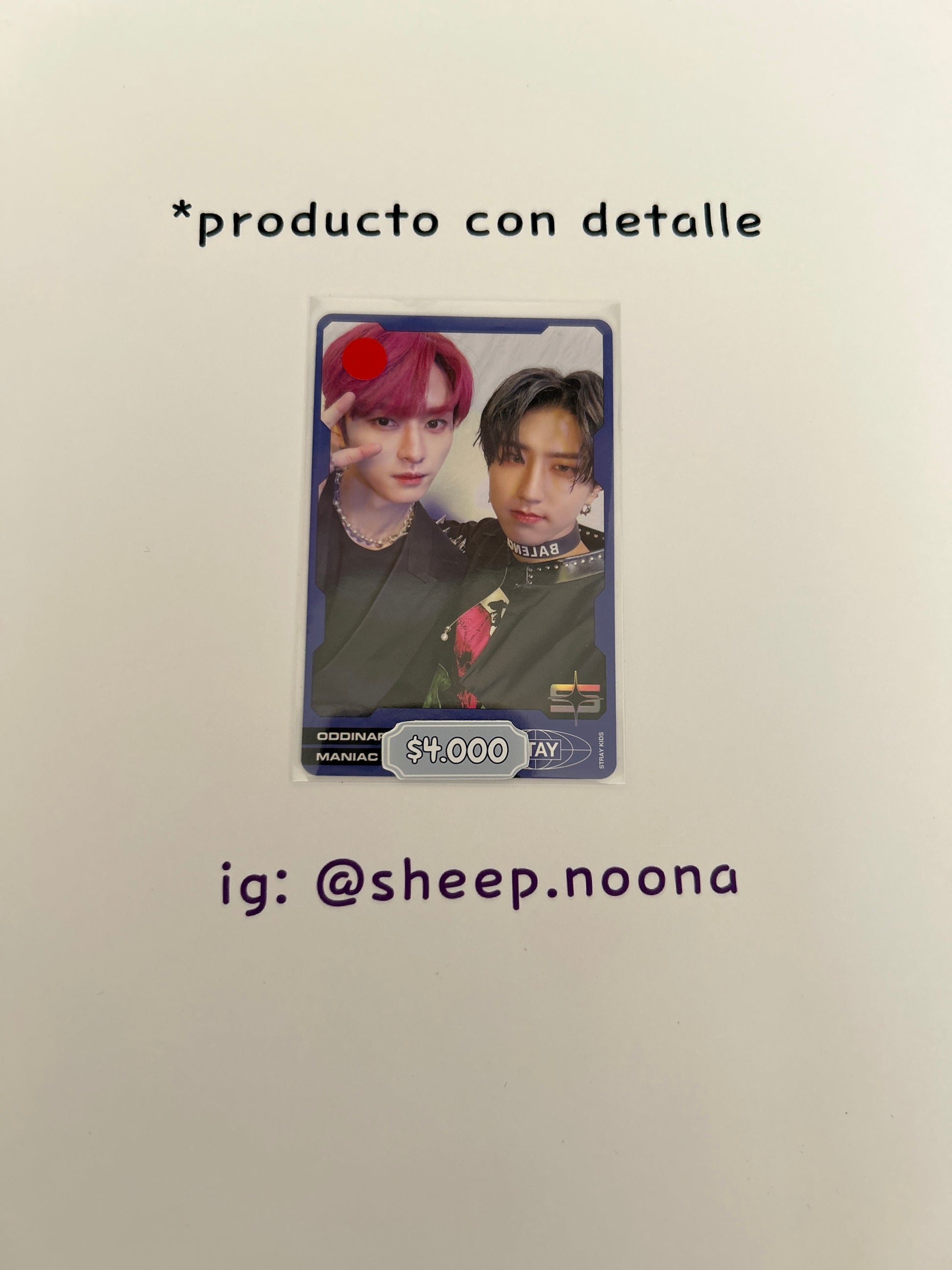 Photocards Units / Grupales SKZ