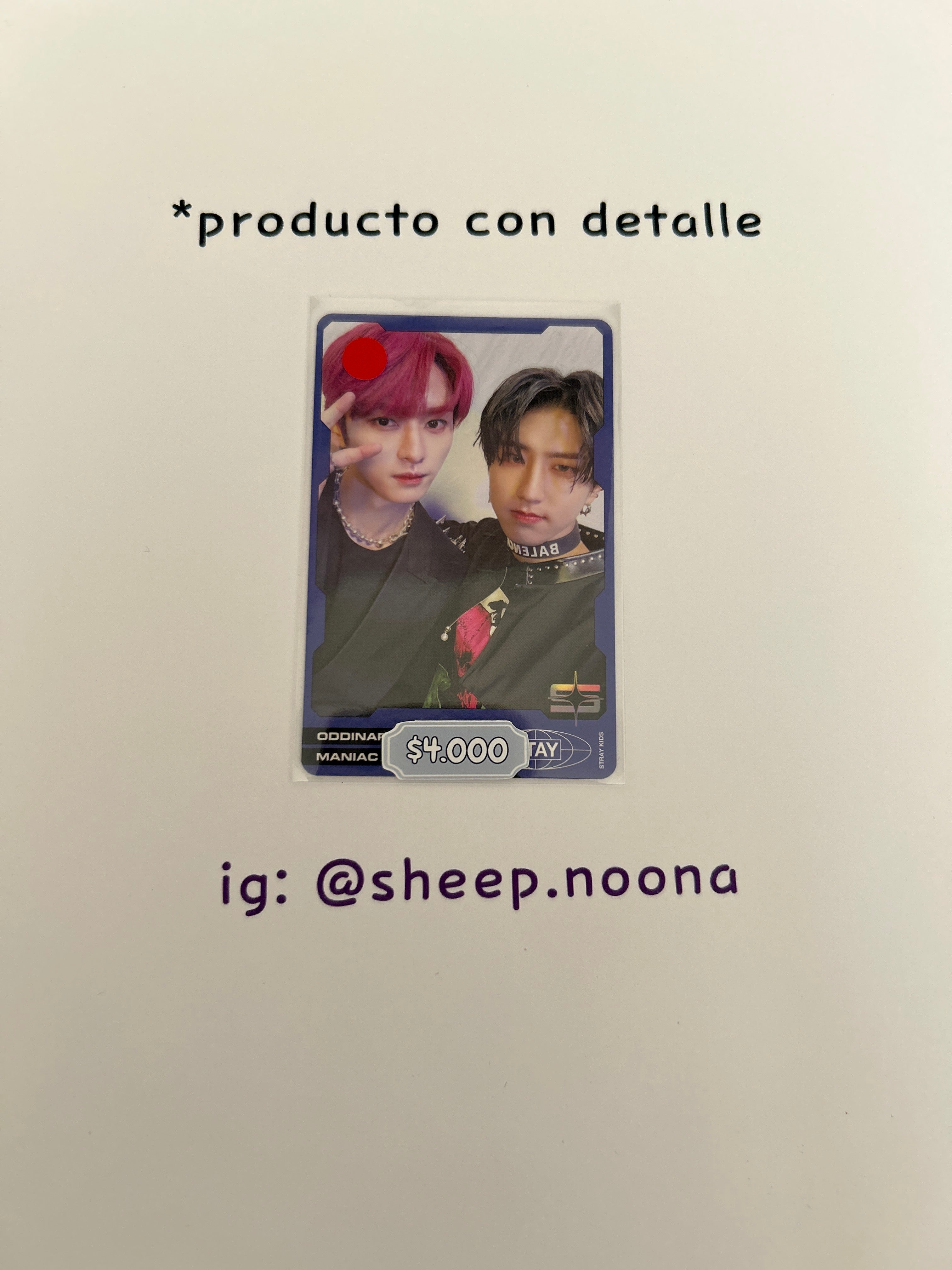Photocards Units / Grupales SKZ