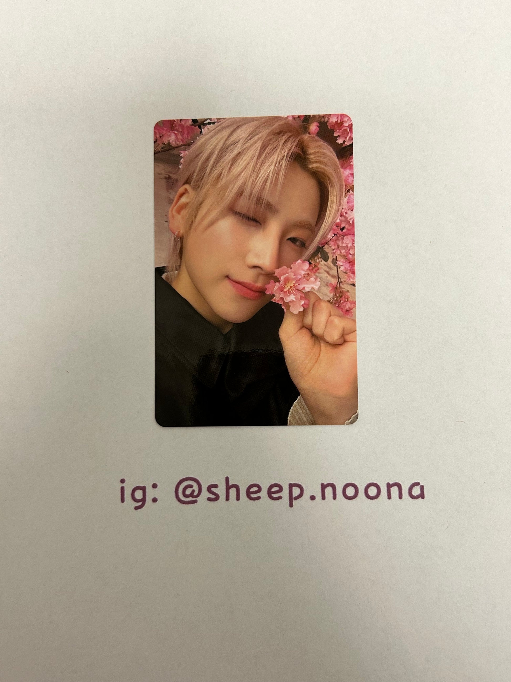 Photocards &team