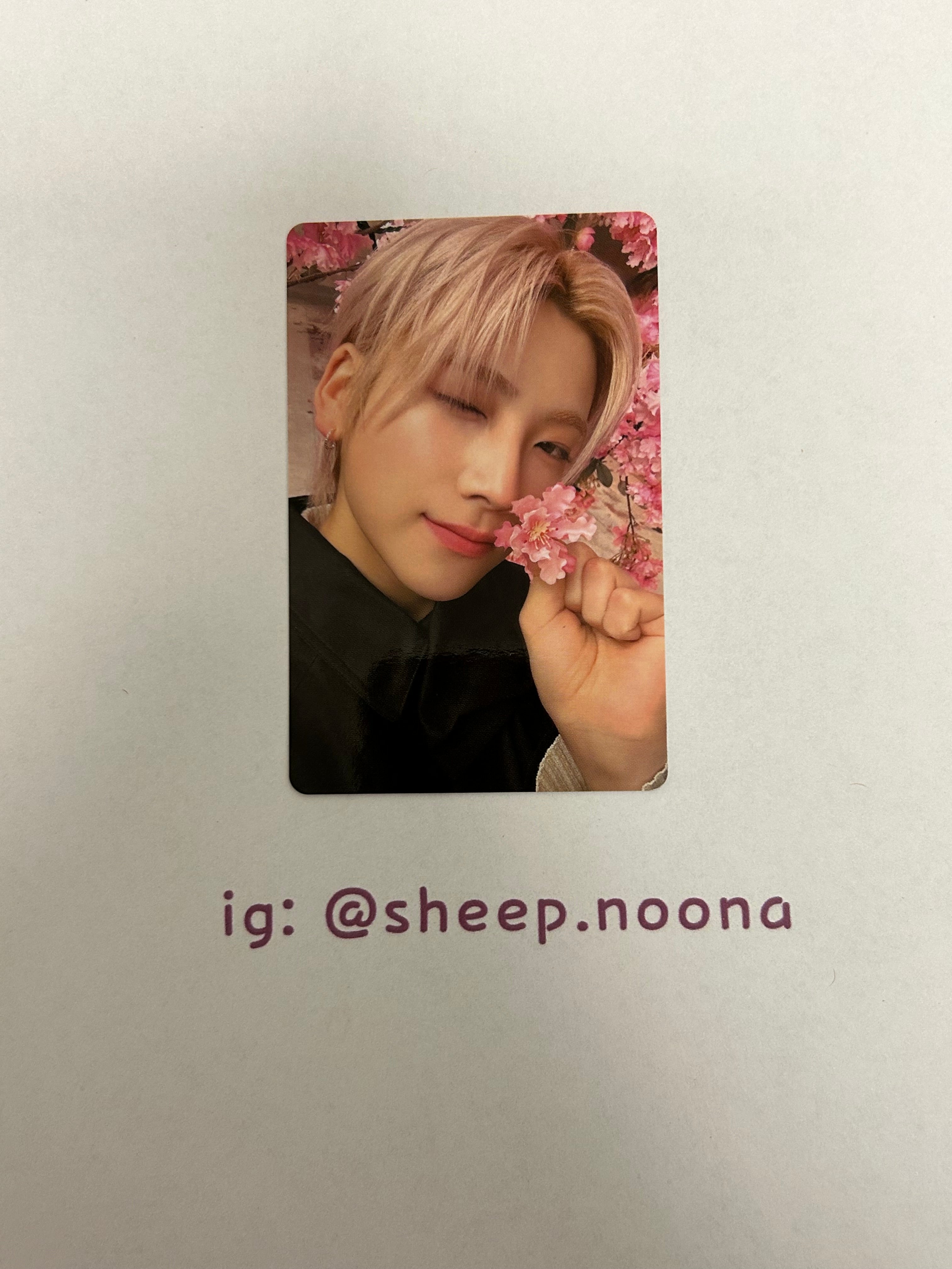 Photocards &team
