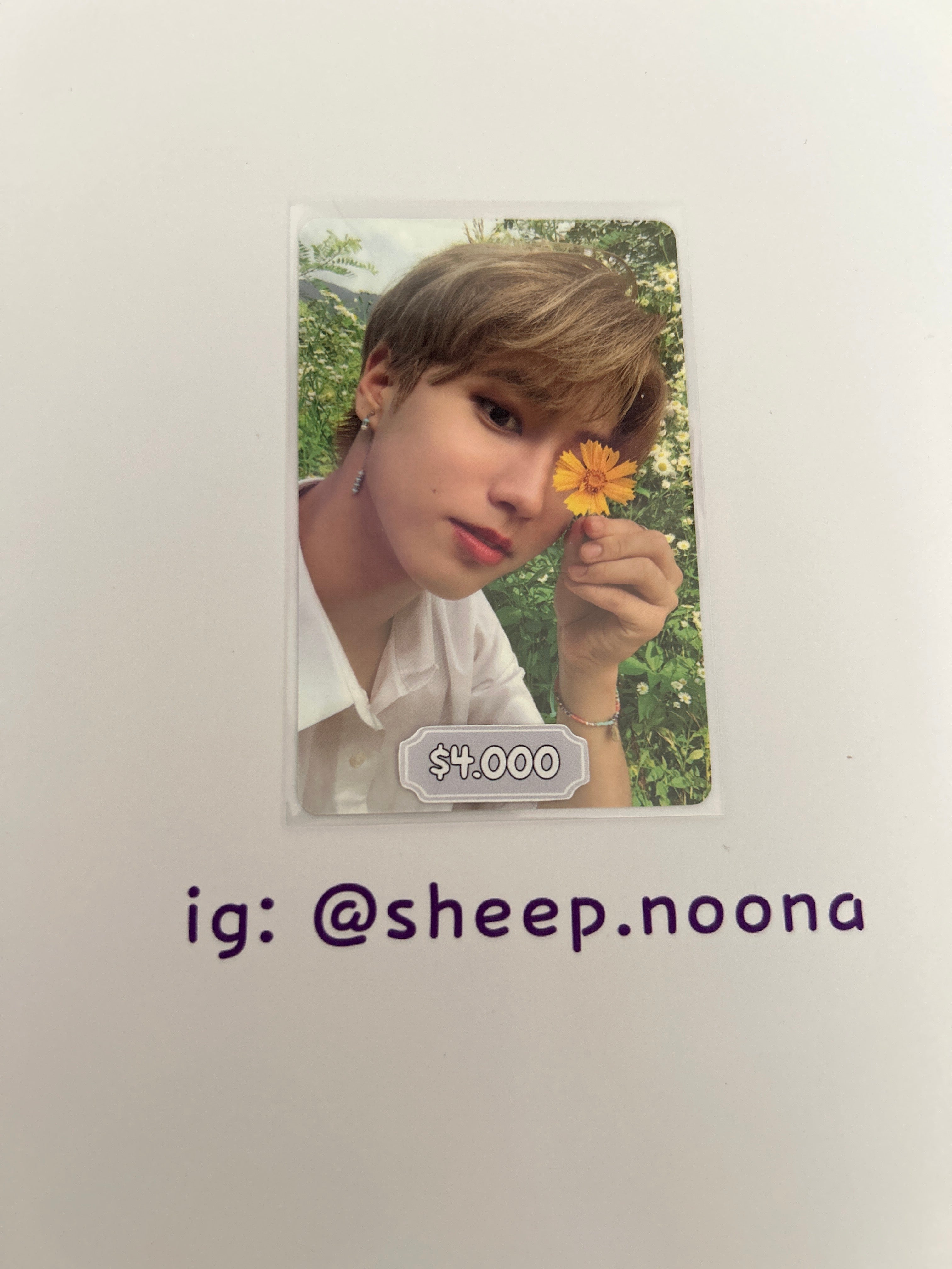 Photocards Han SKZ