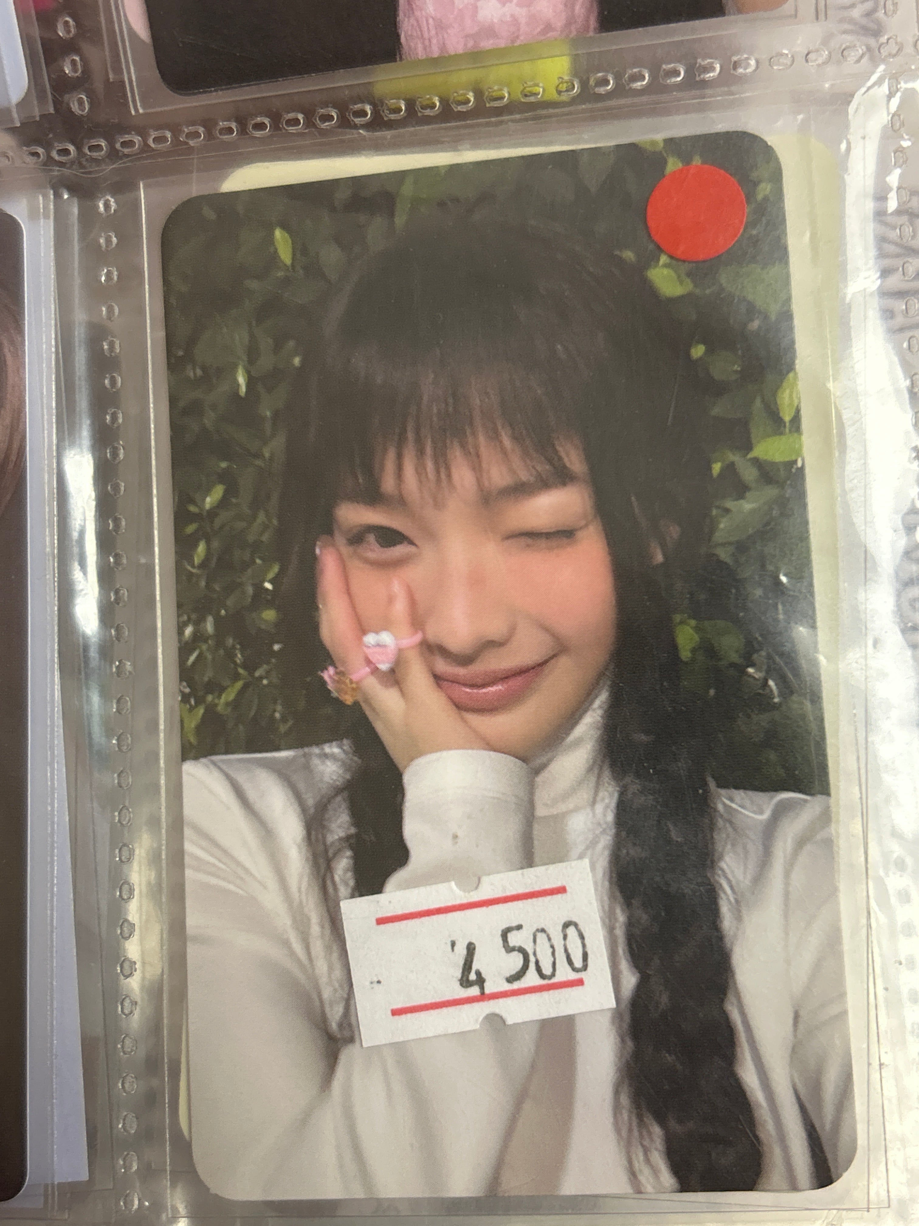 Photocards Iroha ILLIT