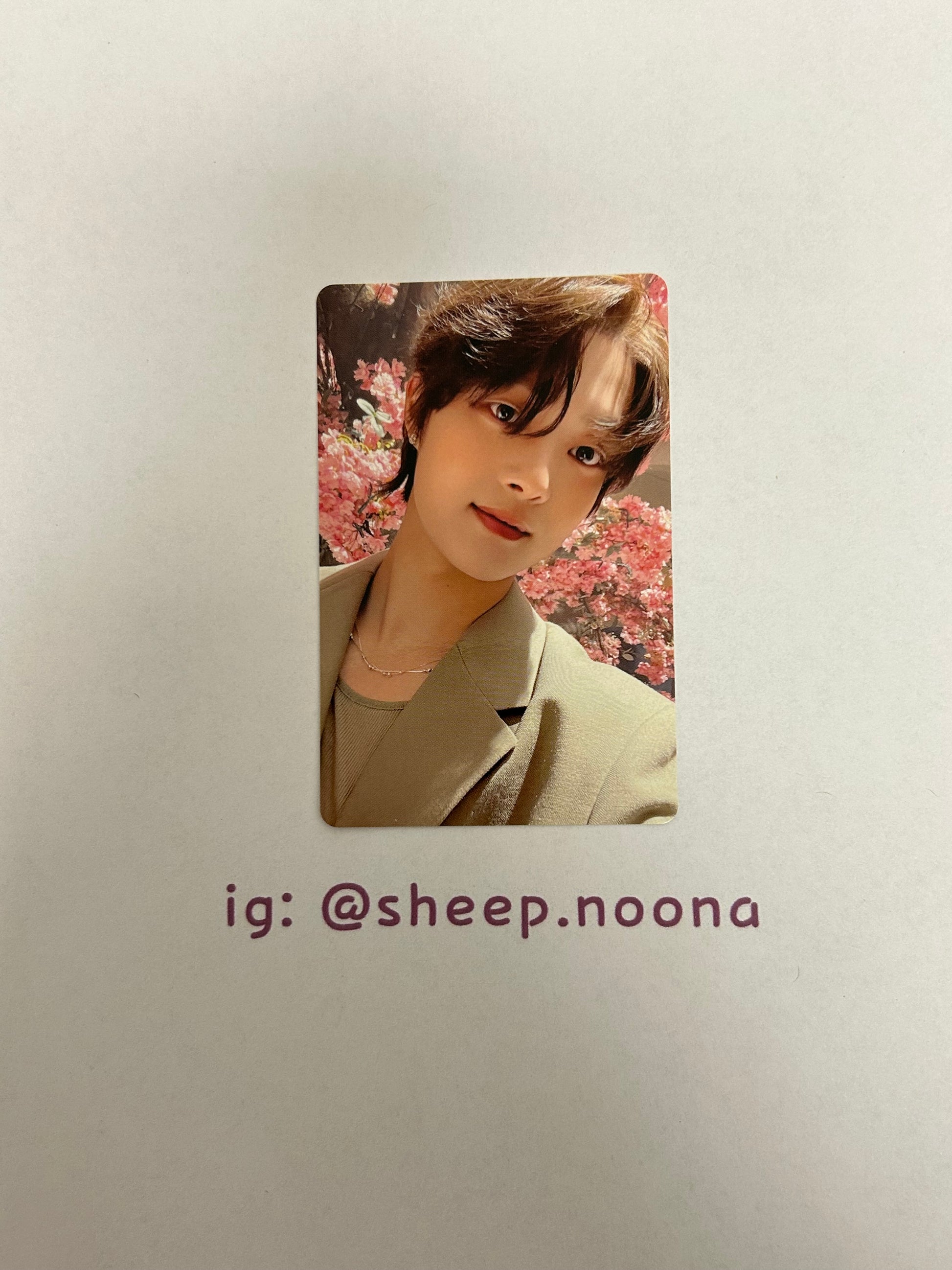 Photocards &team