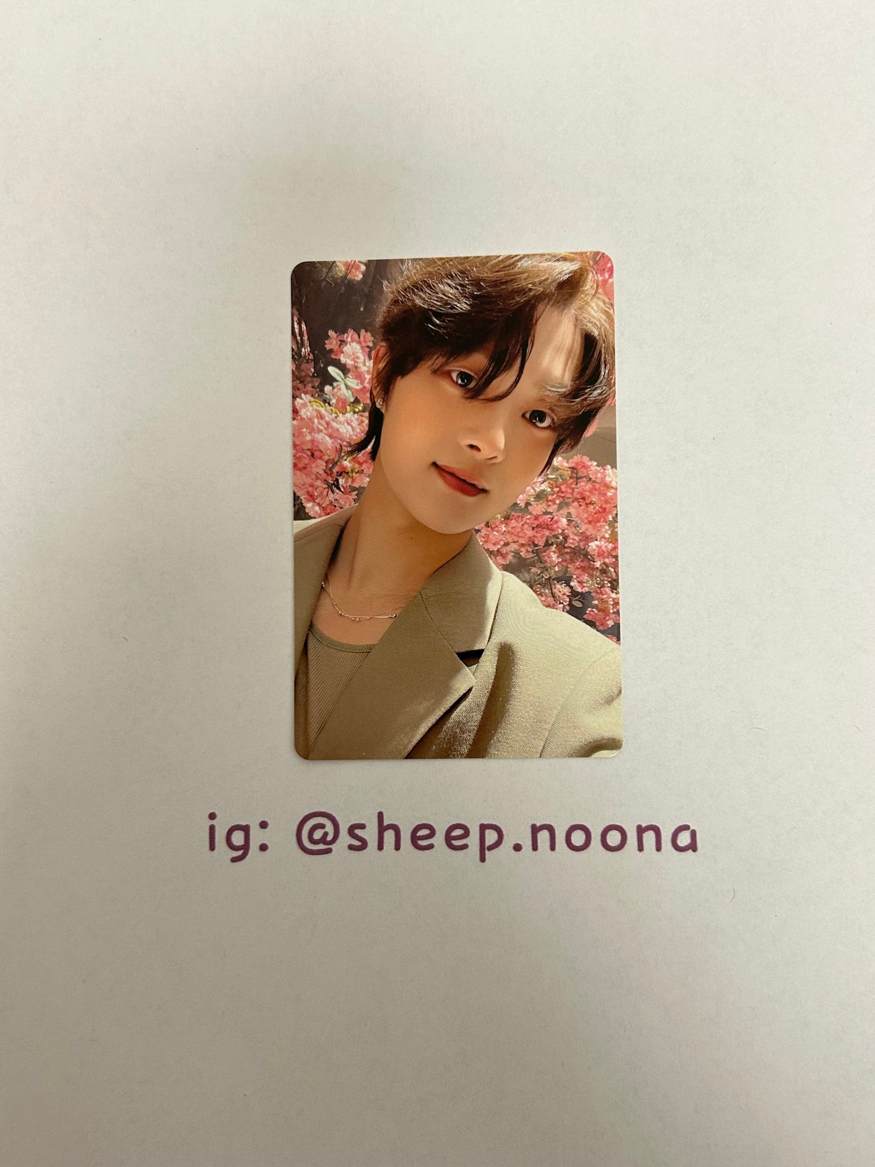 Photocards &team