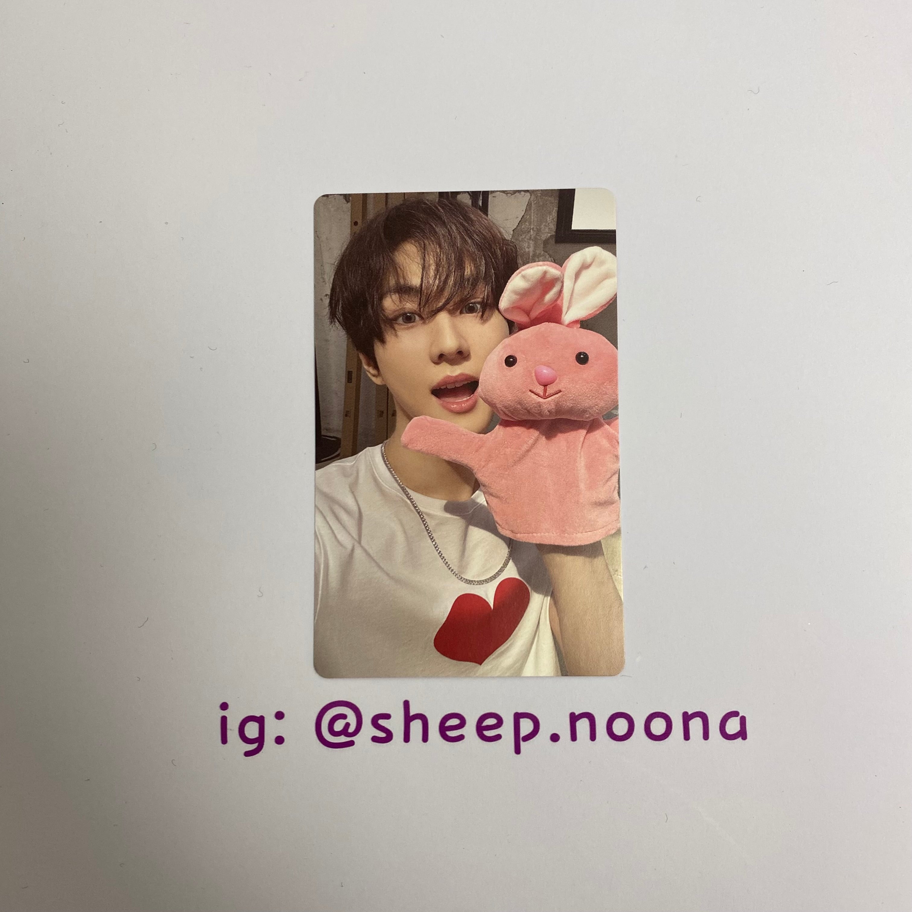 Photocards Jungwon Enhypen