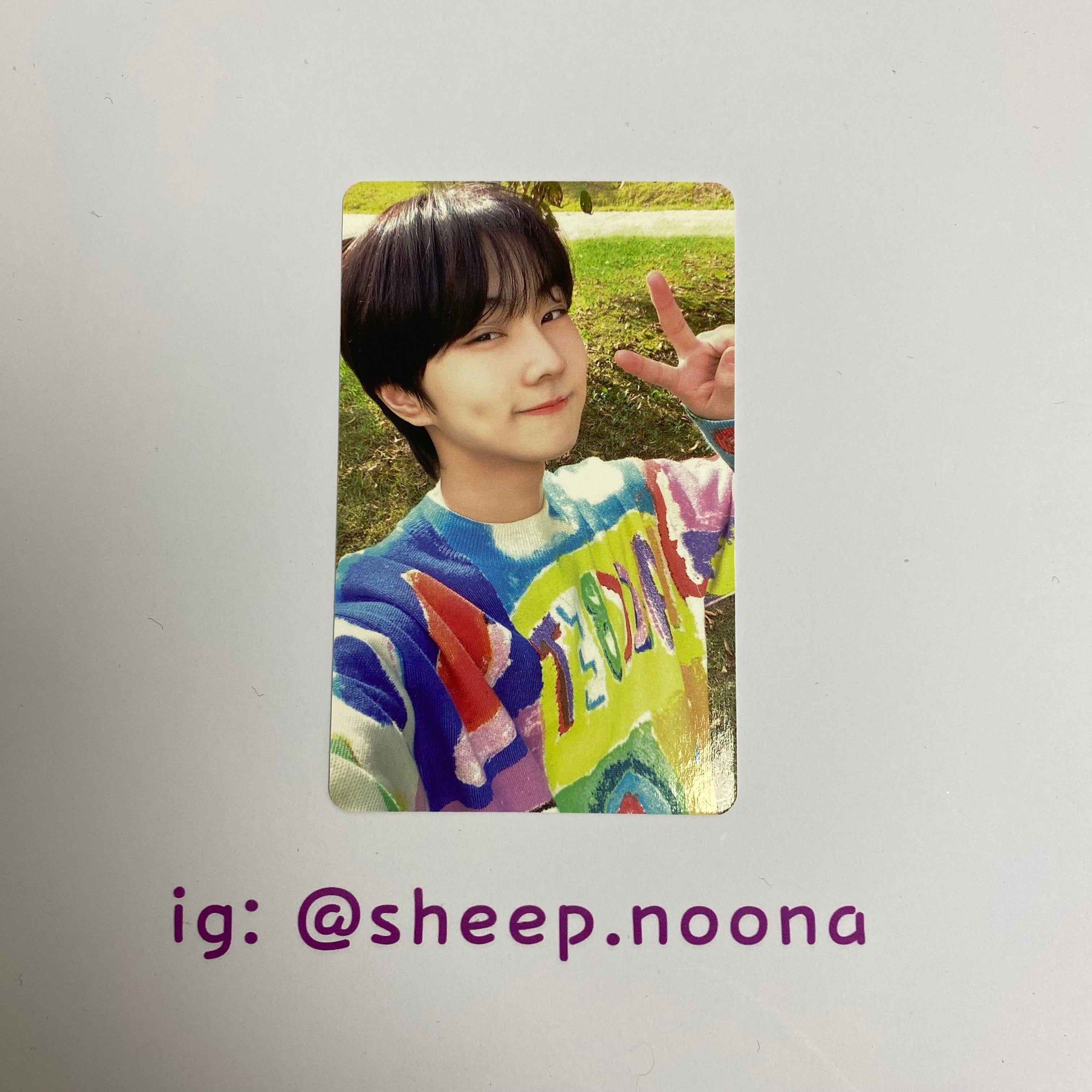 Photocards Jungwon Enhypen