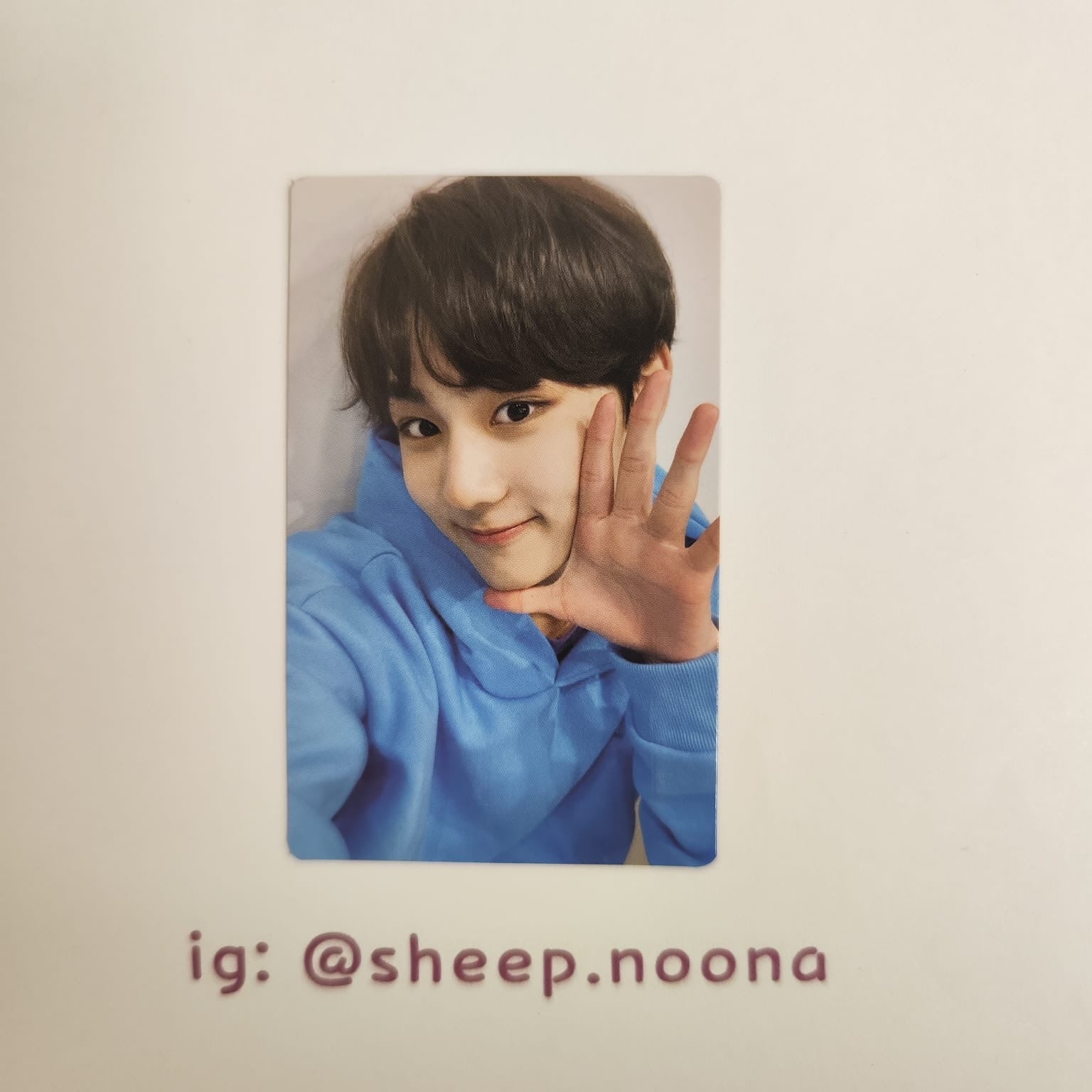 Photocards Jungwon Enhypen