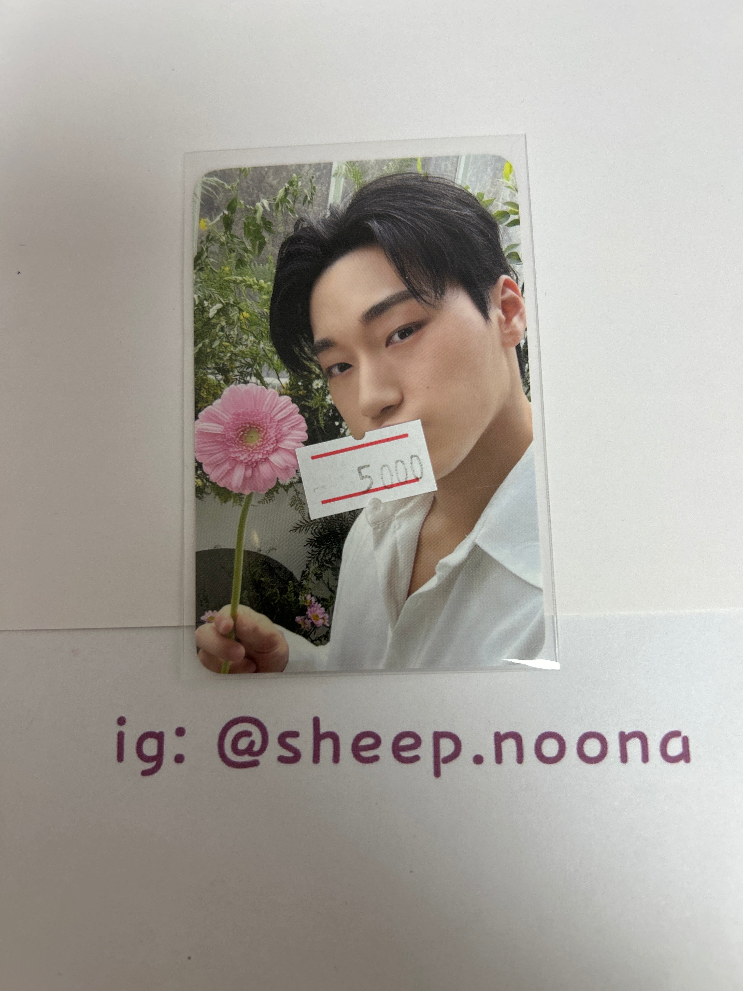 Photocards San Ateez