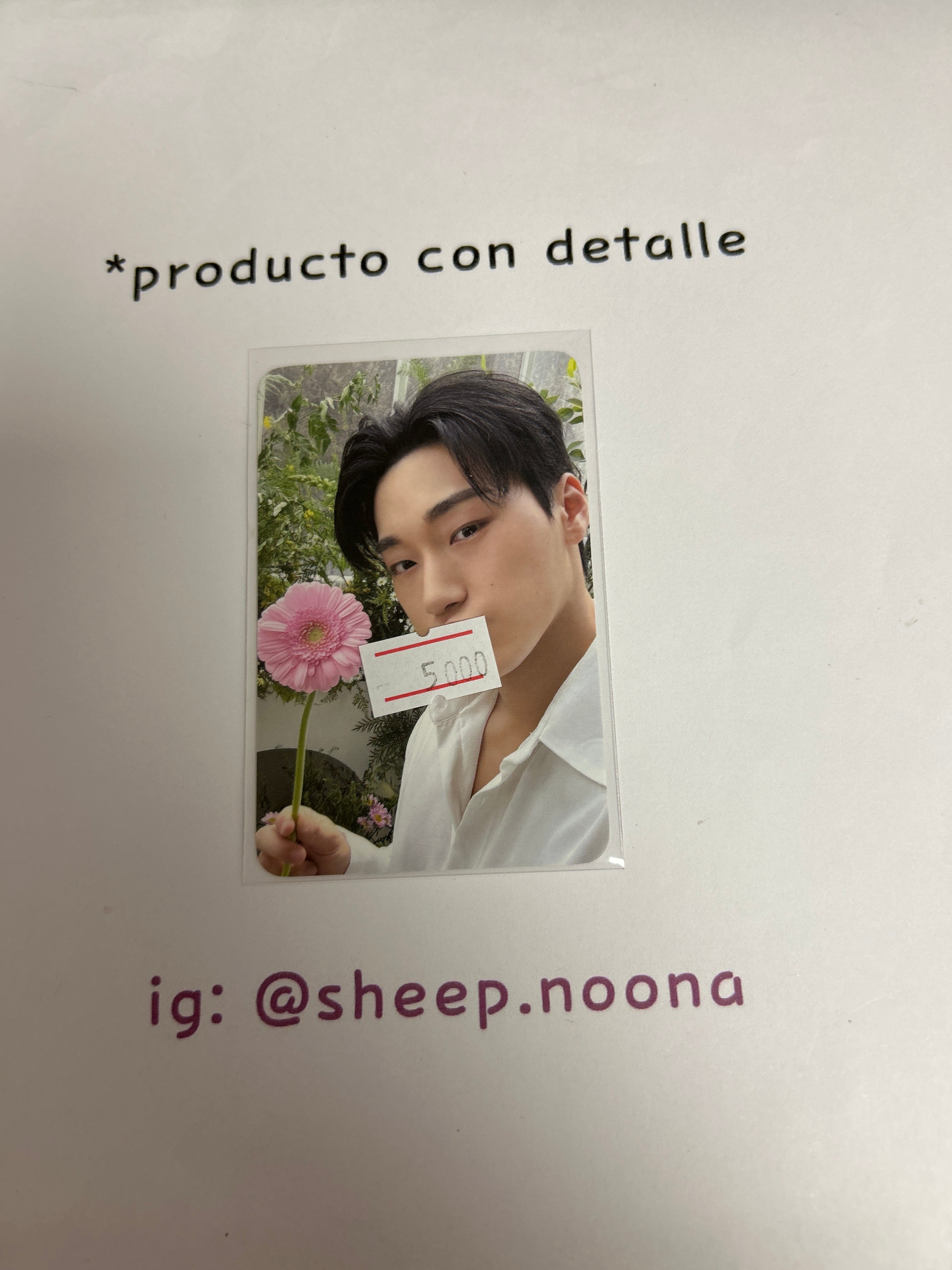 Photocards San Ateez