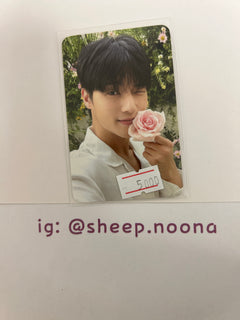 Photocards Wooyoung Ateez