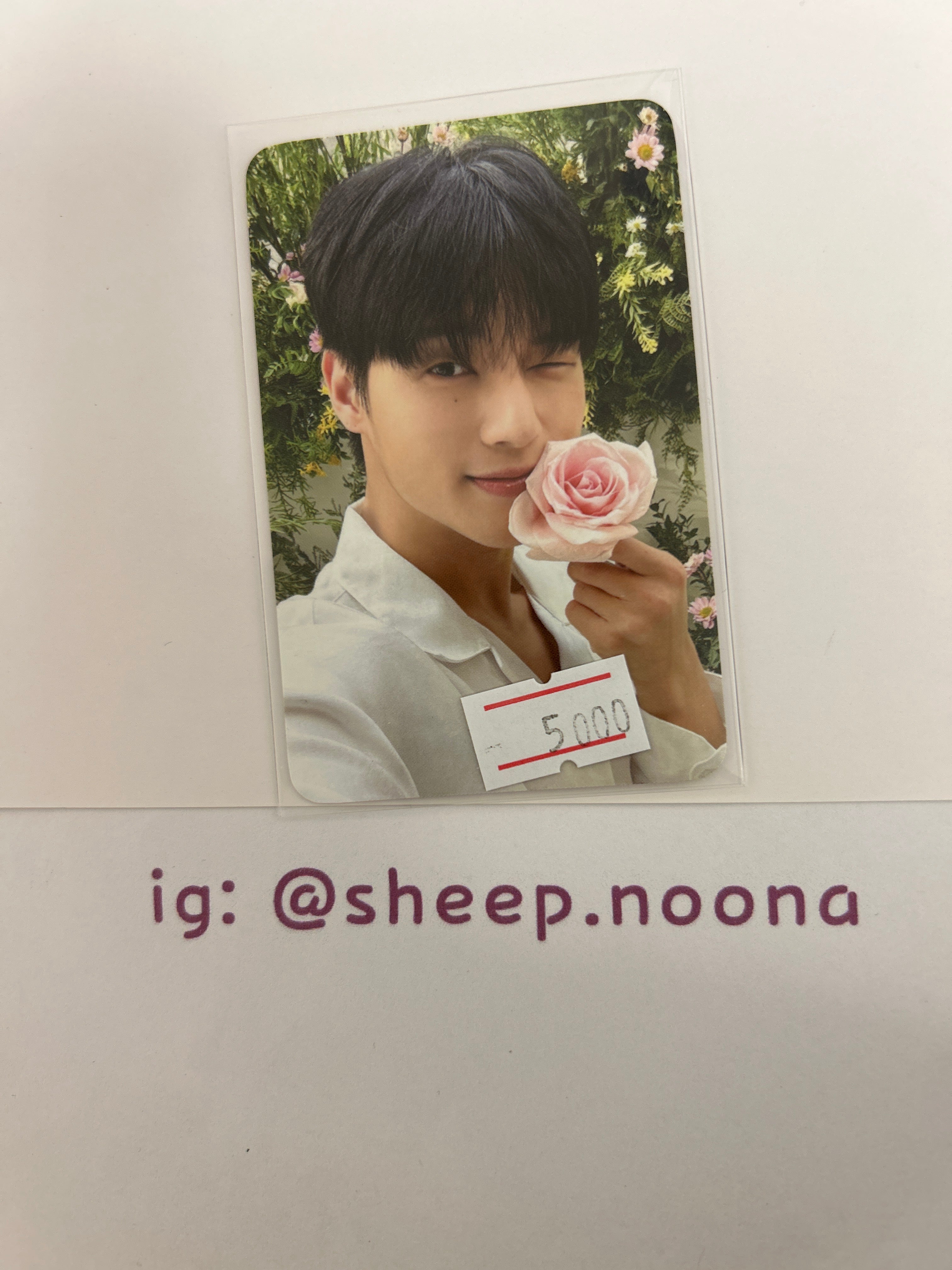 Photocards Wooyoung Ateez