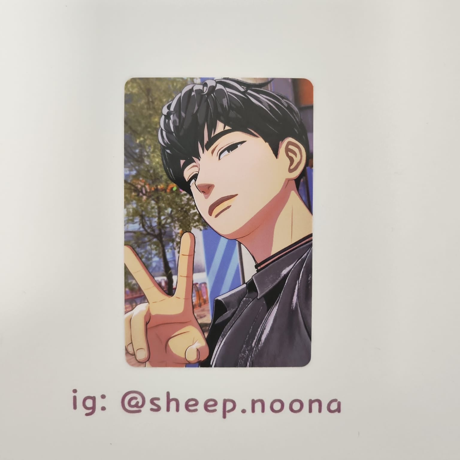 Photocards Plave