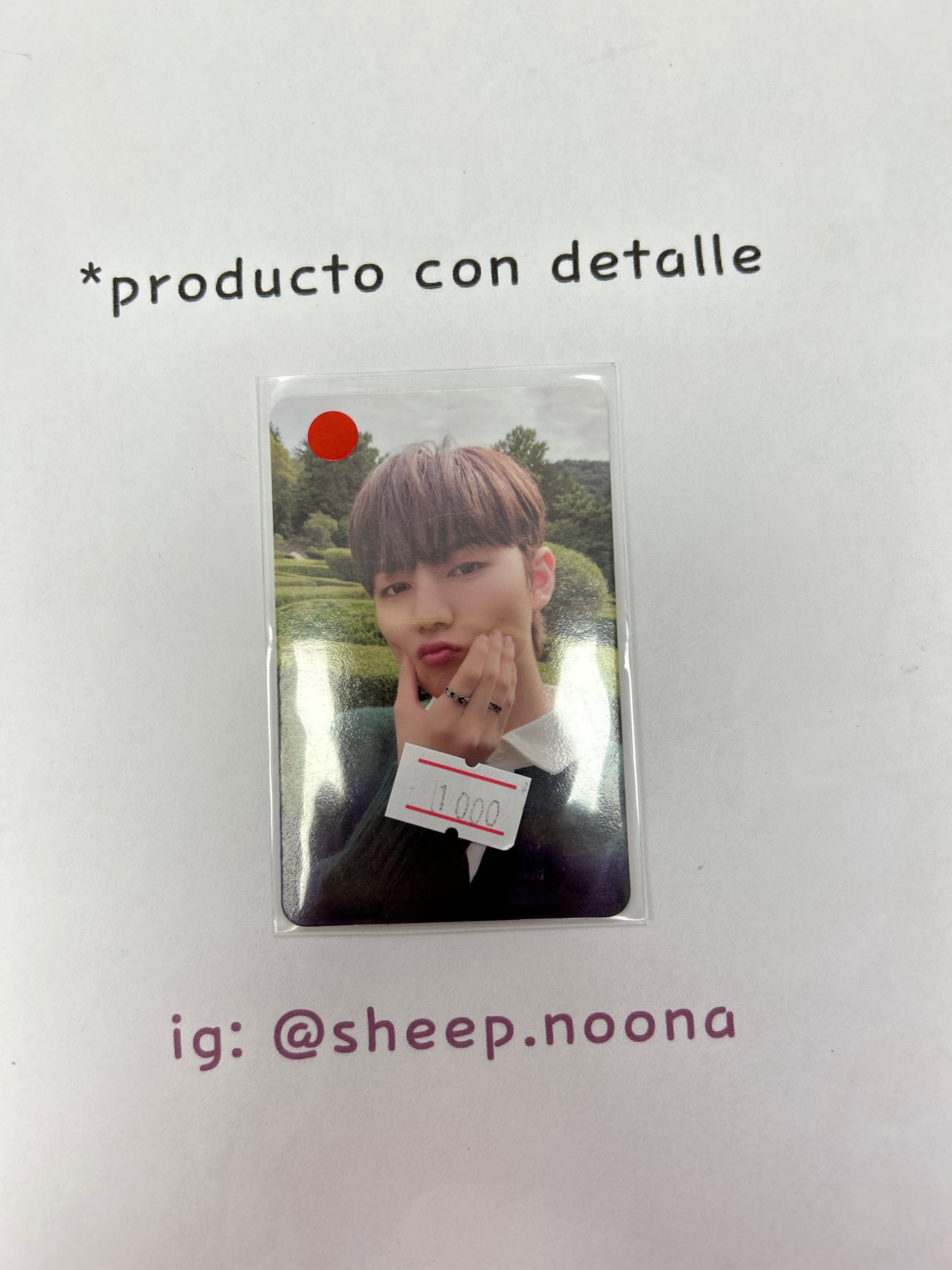 Photocards Ampersand One