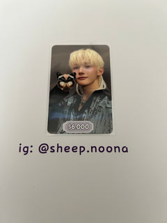 Photocards &team