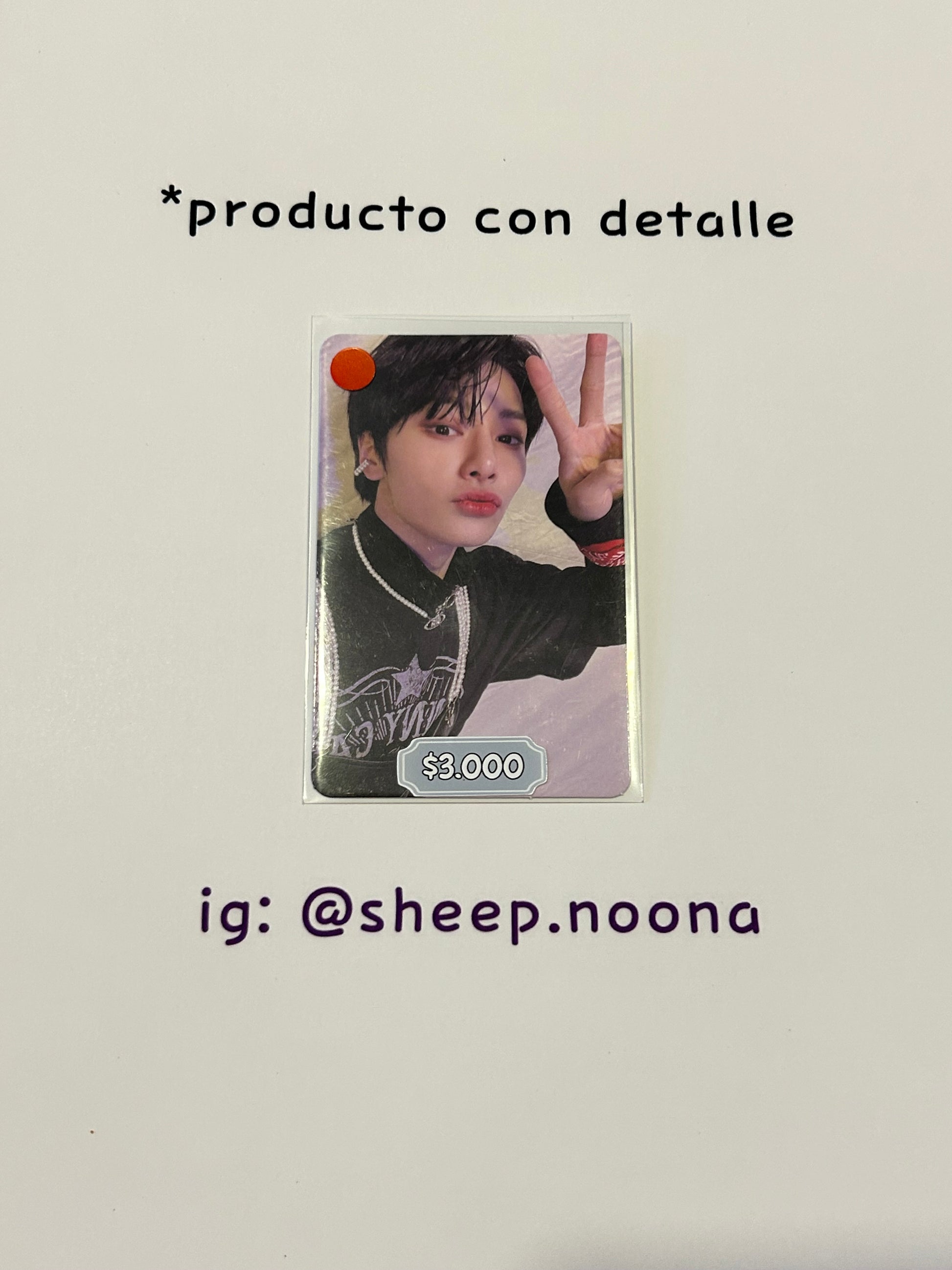 Photocards I.N. SKZ